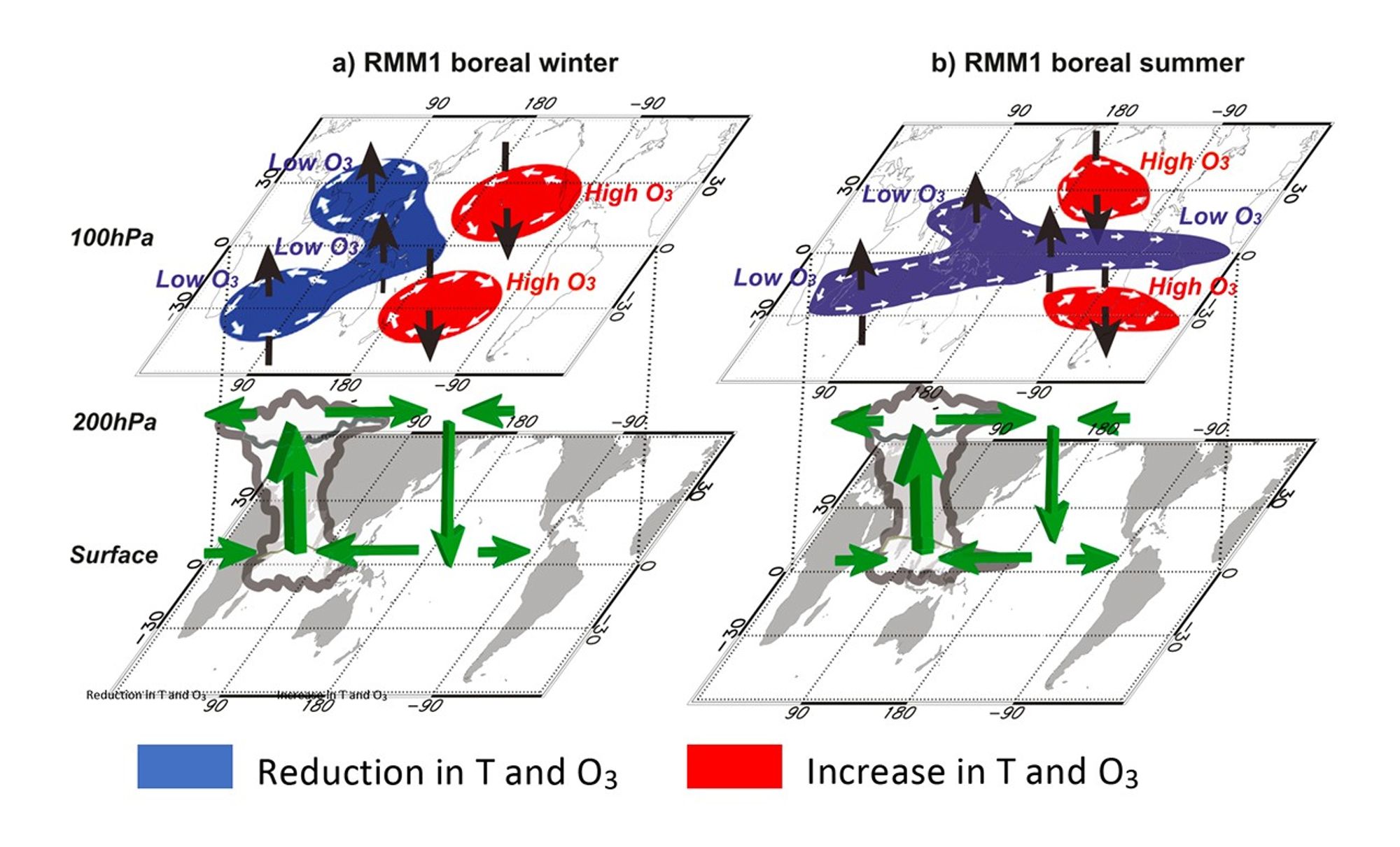 MJO temperature, circulation, and ozone anomalies