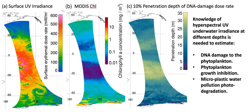 Hyperspectral Underwater UV Irradiances