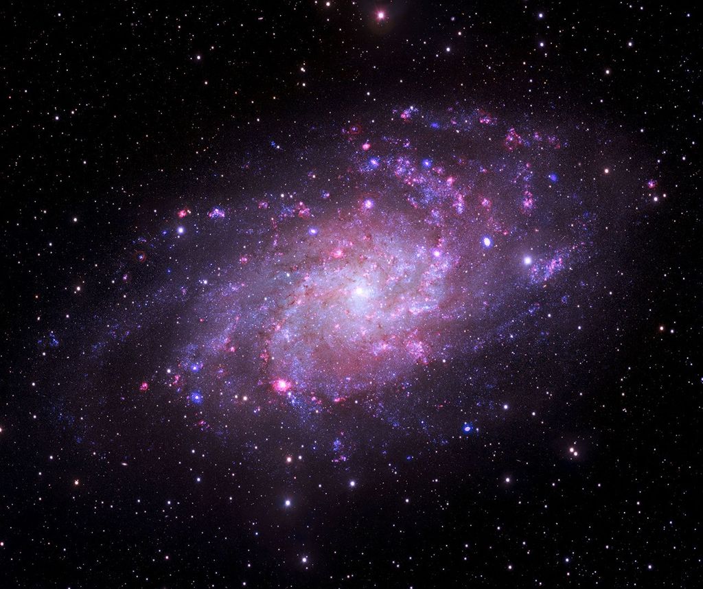 A nearby, face-on spiral galaxy whose clear spiral arms offer an unhindered view of its stellar engine. X-ray data from Chandra (purple) highlights point sources like neutron stars and stellar-mass black holes pulling material off companion stars (systems called X-ray binaries), while optical data from the Very Large Telescope’s MUSE instrument (pink and grey) maps glowing pockets of hydrogen gas. Ultraviolet data from NASA’s Swift telescope (blue) reveals populations of young, massive stars sizzling across the spiral arms. M33’s proximity to us allows astronomers to audit individual high-energy objects and map how stellar feedback affects a galaxy's ecosystem.