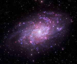 A nearby, face-on spiral galaxy whose clear spiral arms offer an unhindered view of its stellar engine. X-ray data from Chandra (purple) highlights point sources like neutron stars and stellar-mass black holes pulling material off companion stars (systems called X-ray binaries), while optical data from the Very Large Telescope’s MUSE instrument (pink and grey) maps glowing pockets of hydrogen gas. Ultraviolet data from NASA’s Swift telescope (blue) reveals populations of young, massive stars sizzling across the spiral arms. M33’s proximity to us allows astronomers to audit individual high-energy objects and map how stellar feedback affects a galaxy's ecosystem.