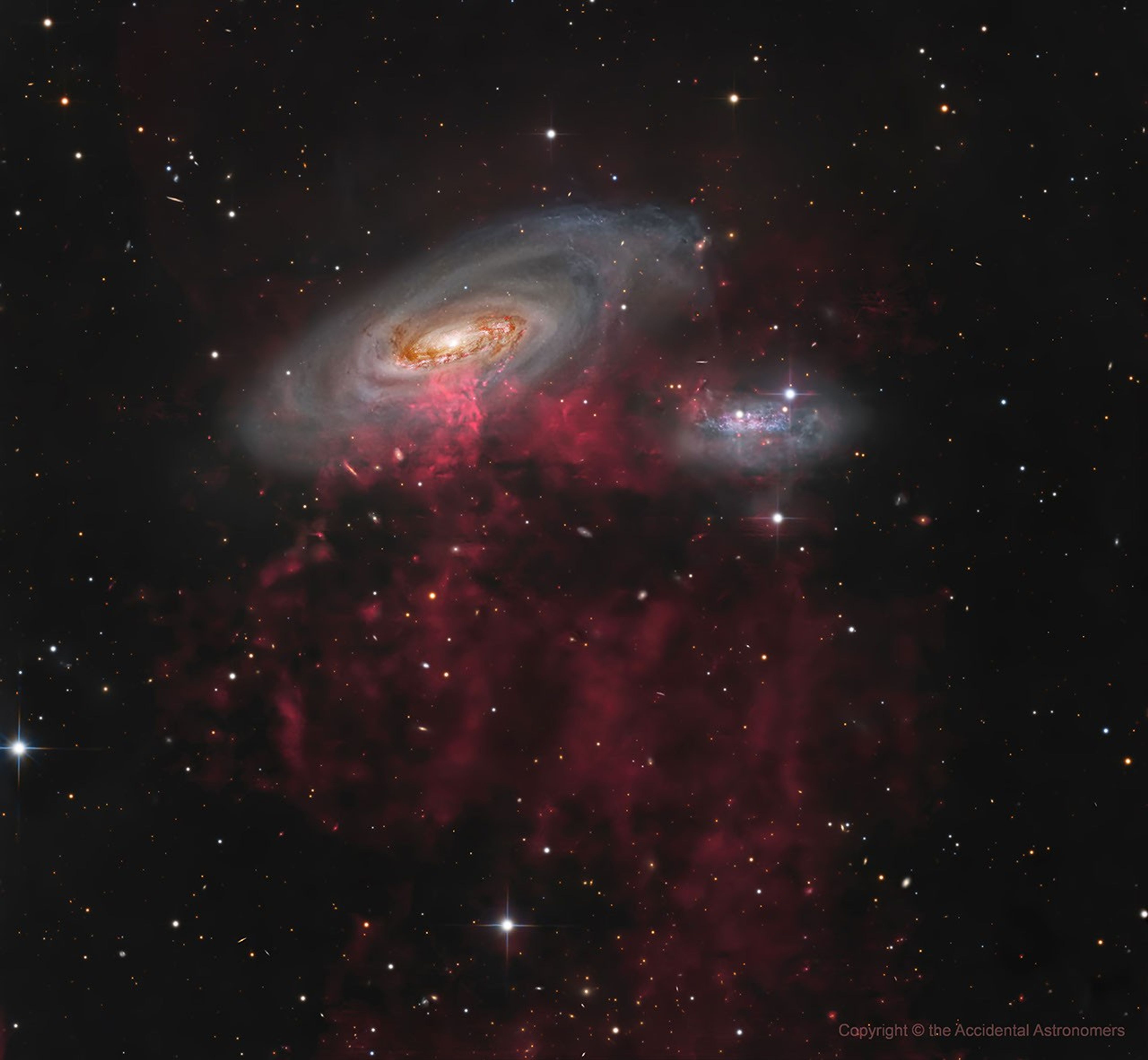 A large spiral galaxy that is being stripped of its gas as it plunges at high speed through hot gas in the Virgo Cluster of galaxies. Chandra’s X-ray data (magenta) pinpoints high-energy point sources—such as X-ray binaries and supernova remnants—and diffuse hot gas nestled within the spiral disk imaged by Hubble (blue, brown and gold). A ground-based optical light image taken from New Mexico by Timothy Martin reveals red filaments of hydrogen gas streaming over 300,000 light-years behind the galaxy as it falls into the Virgo Cluster.