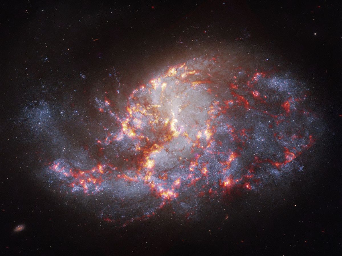 NGC 1385 in multiple wavelengths