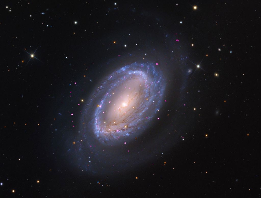 A "one-armed" barred spiral galaxy surrounded by a prominent star-forming ring. Chandra's X-ray data (magenta) pinpoints several bright X-ray sources, likely caused by growing black holes, embedded within the sweeping optical disk (soft blue and white) captured with the Mt. Lemmon Observatory. Galaxies with unusual single arms can offer a window into how the gravity from a passing galaxy can trigger bursts of star formation.