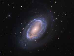 A "one-armed" barred spiral galaxy surrounded by a prominent star-forming ring. Chandra's X-ray data (magenta) pinpoints several bright X-ray sources, likely caused by growing black holes, embedded within the sweeping optical disk (soft blue and white) captured with the Mt. Lemmon Observatory. Galaxies with unusual single arms can offer a window into how the gravity from a passing galaxy can trigger bursts of star formation.