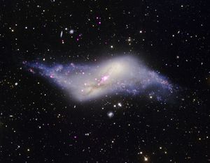 A rare "polar ring" galaxy where a tilted outer ring of stars and dust rotates over the galaxy's poles, an unusual structure likely caused by a collision with another galaxy about a billion years ago. Chandra’s X-rays (purple) reveal a possible growing supermassive black hole in the center of the galaxy, plus X-ray binaries nestled within the stars and dust captured by the Gemini Observatory in optical light (gold, blue and white). Studying polar rings teaches us about the diverse effects of stellar collisions on the shapes of galaxies.