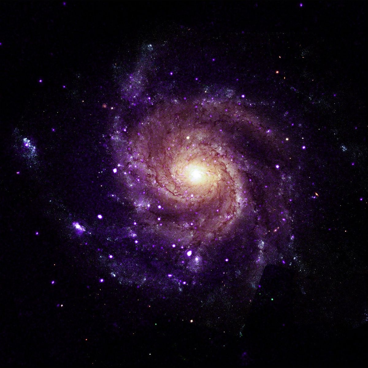 NASA’s Chandra Unveils Mysterious X-Ray Objects
