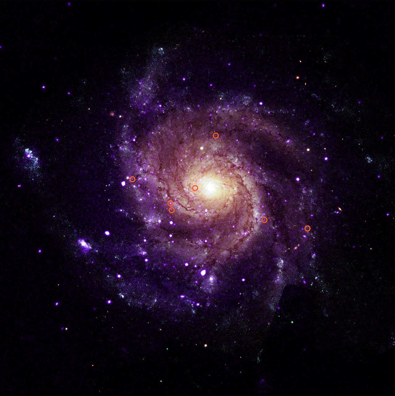 Researchers found 84 so-called hypersoft X-ray sources in M101, Messier 31, and four elliptical galaxies. This newly-discovered class of objects give off very low-energy X-rays and likely high levels of ultraviolet light. Their existence may help explain questions around Type Ia supernova explosions and the intergalactic medium. These images of the face-on spiral galaxy M101 show X-ray data from Chandra and an optical image from the Hubble Space Telescope.