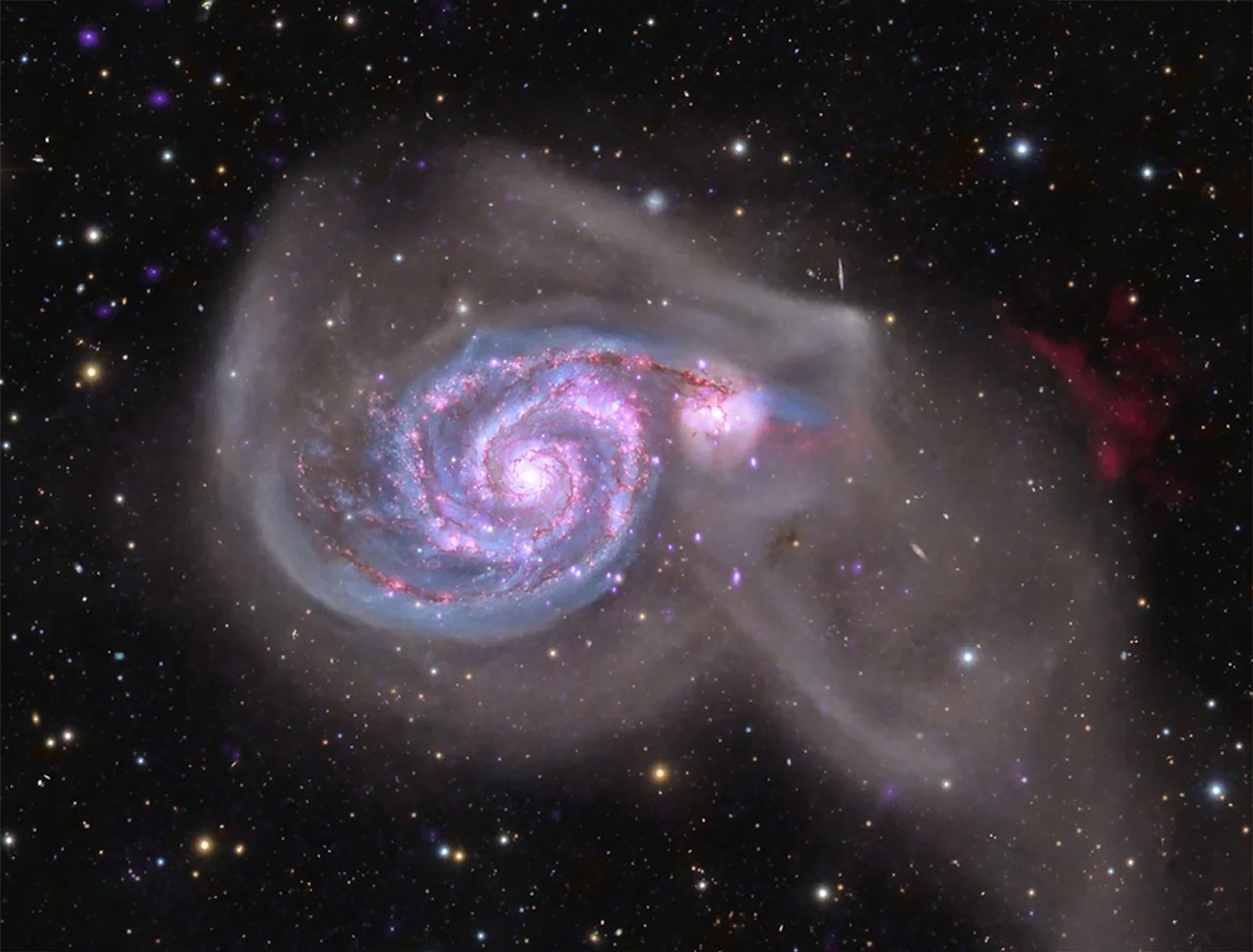 This is a composite image of the galaxy M51 combining data from NASA's Chandra X-ray Observatory (purple) with optical data (red, green and blue) taken with ground-based telescopes by a team of astrophotographers. A surprisingly high number of X-ray sources associated with supernova remnants in M51 show large changes in brightness, similar to the behavior seen in M83.