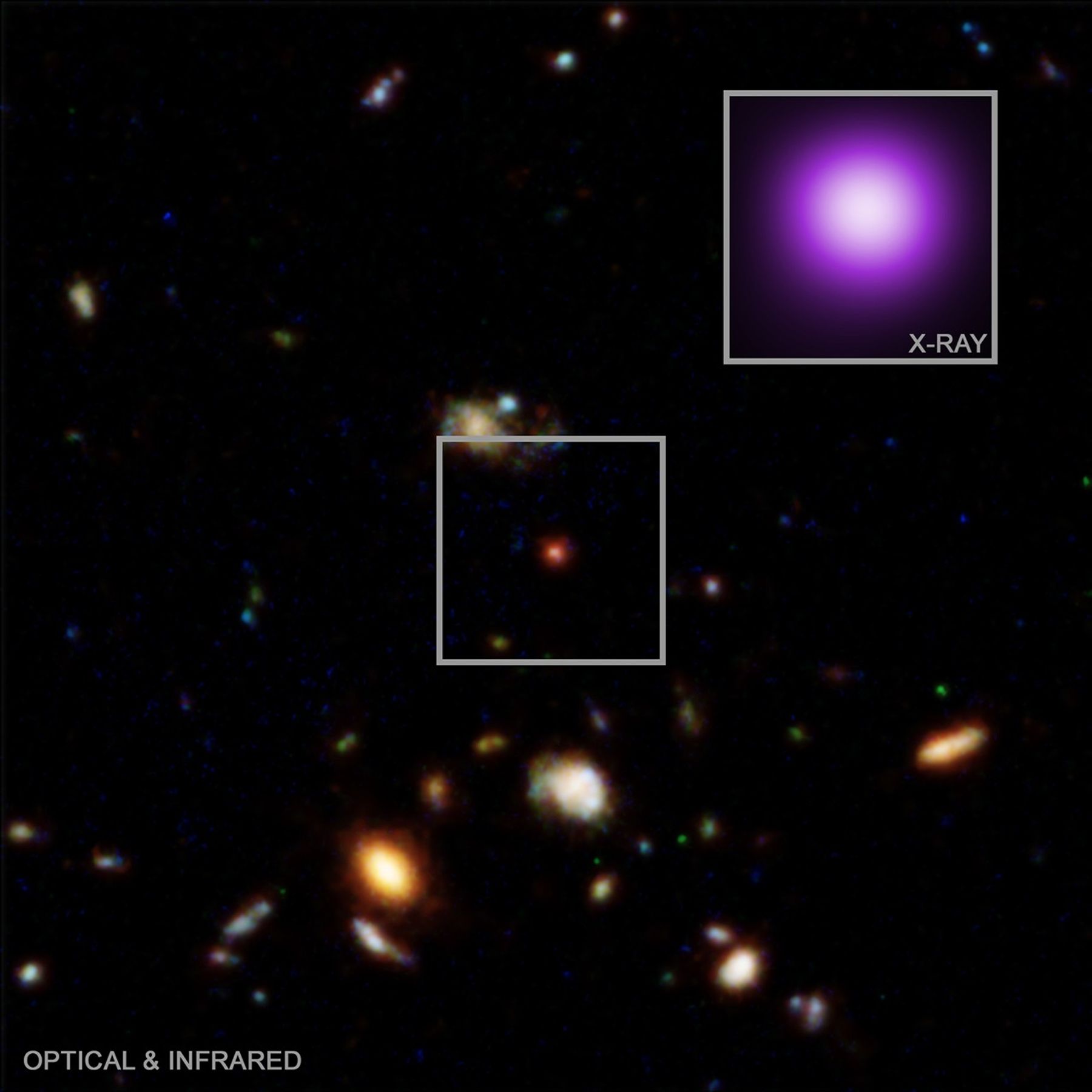 This image of a special object, dubbed the “X-ray dot,” represent a discovery from Chandra that could help explain the nature of a mysterious class of sources in the early Universe. The optical and infrared image from Hubble show the region around the X-ray dot, while the Chandra X-ray image shows the close up. Prior to this discovery, “little red dots” seen by the Webb telescope had not been known to emit X-rays. This one does, which leads researchers to propose that the X-ray dot represents a previously unknown transition phase of growing supermassive black holes.