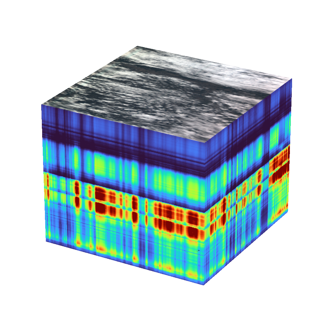 Data Cube first light HySICS