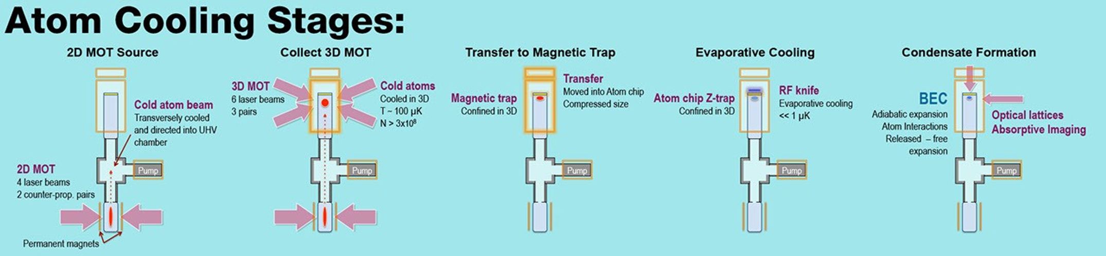 A multi-panel diagram illustrating the "Atom Cooling Stages" leading to Bose-Einstein Condensate formation. Each panel depicts a simplified experimental setup with text descriptions of the process: 2D MOT Source: Shows a 2D Magneto-Optical Trap (MOT) with 4 laser beams and permanent magnets creating a "Cold atom beam" directed into a UHV chamber. Collect 3D MOT: Shows a 3D MOT using 6 laser beams, cooling and confining "Cold atoms" in 3D to T ~ 100 µK, N > 3x10^8. Transfer to Magnetic Trap: Illustrates the transfer of atoms into a "Magnetic trap," where they are "Confined in 3D," and then moved into an "Atom chip" for compression. Evaporative Cooling: Shows "Evaporative cooling" using an "RF knife" to achieve temperatures