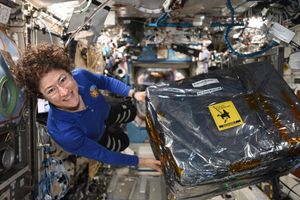 An astronaut, a woman with curly brown hair and glasses, wearing a blue polo shirt and dark pants, is smiling at the camera while floating in a cluttered module of the International Space Station. She is holding onto a large, rectangular payload wrapped in reflective silver insulation, which has labels including "Science Module for Cold Atom Lab" and a yellow "FLIGHT HARDWARE" sticker. The background shows a dense array of equipment, wires, and panels characteristic of the ISS interior, creating a sense of being in microgravity.