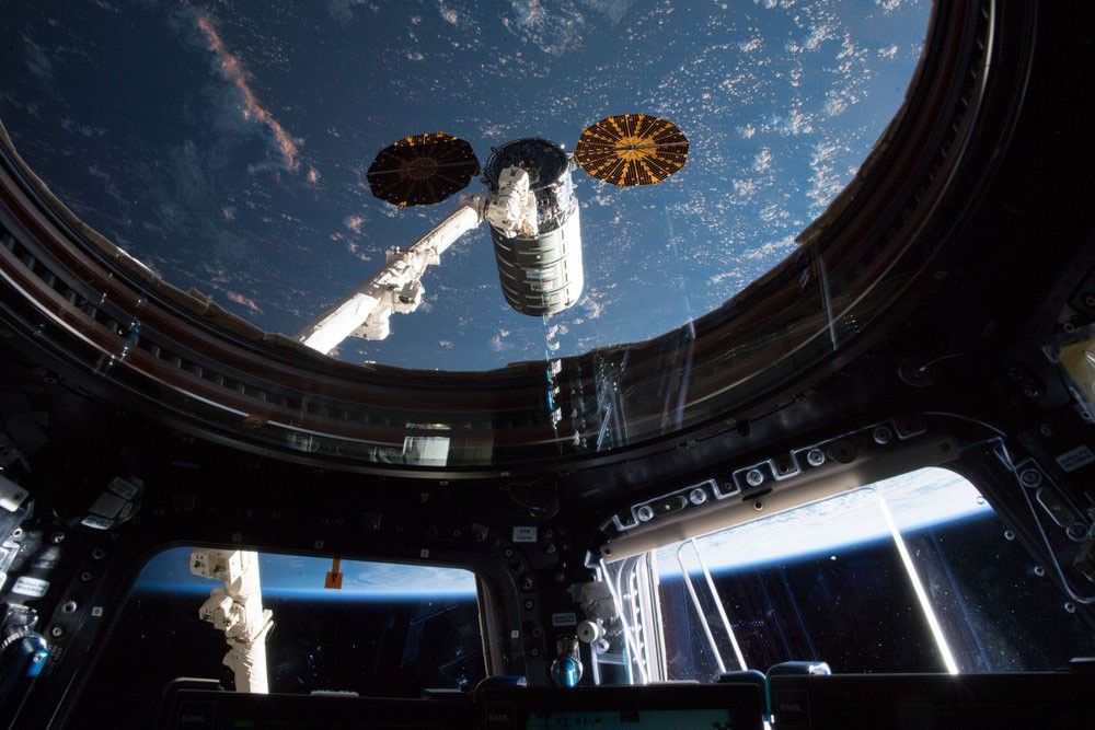 A wide-angle photo taken from inside the International Space Station's Cupola observatory, looking out into space. The Canadarm2 robotic arm is positioned in the center, grappling a white, cylindrical Cygnus cargo vehicle. The Cygnus has two large, circular, fan-like solar arrays that are a striking golden-orange color. Below is the brilliant blue and white curve of the Earth against the dark void of space.