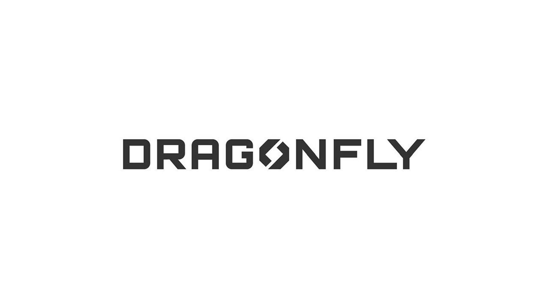Stylized Dragonfly text in black