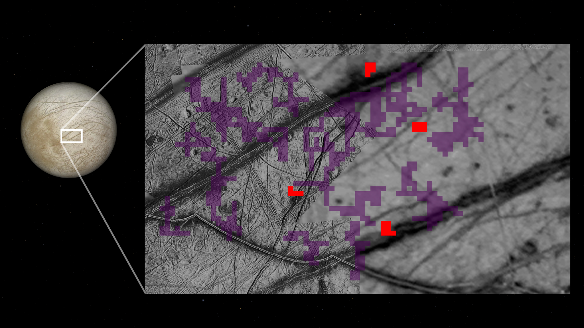 A high-resolution scientific graphic from NASA illustrates the detection of ammonia on the surface of Jupiter’s moon, Europa. On the left, a full-disk view of the icy moon is shown against a black starfield, with a white rectangular box highlighting a specific region near the equator. This box zooms into a large, detailed grayscale map on the right, which reveals a complex landscape of crisscrossing linear ridges and fractured "chaos terrain." Overlaid on this topographical map are pixelated data clusters: purple areas indicate the presence of ammonia, while vibrant red pixels mark the highest concentrations. These detections are primarily concentrated along the geologically active ridges and disrupted ice, suggesting that the ammonia may be surfacing from the moon's subsurface liquid ocean.