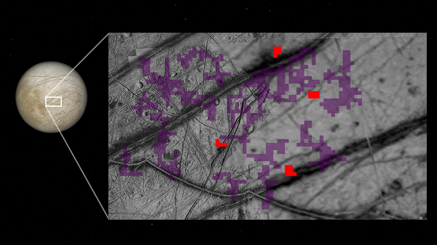 A high-resolution scientific graphic from NASA illustrates the detection of ammonia on the surface of Jupiter’s moon, Europa. On the left, a full-disk view of the icy moon is shown against a black starfield, with a white rectangular box highlighting a specific region near the equator. This box zooms into a large, detailed grayscale map on the right, which reveals a complex landscape of crisscrossing linear ridges and fractured "chaos terrain." Overlaid on this topographical map are pixelated data clusters: purple areas indicate the presence of ammonia, while vibrant red pixels mark the highest concentrations. These detections are primarily concentrated along the geologically active ridges and disrupted ice, suggesting that the ammonia may be surfacing from the moon's subsurface liquid ocean.