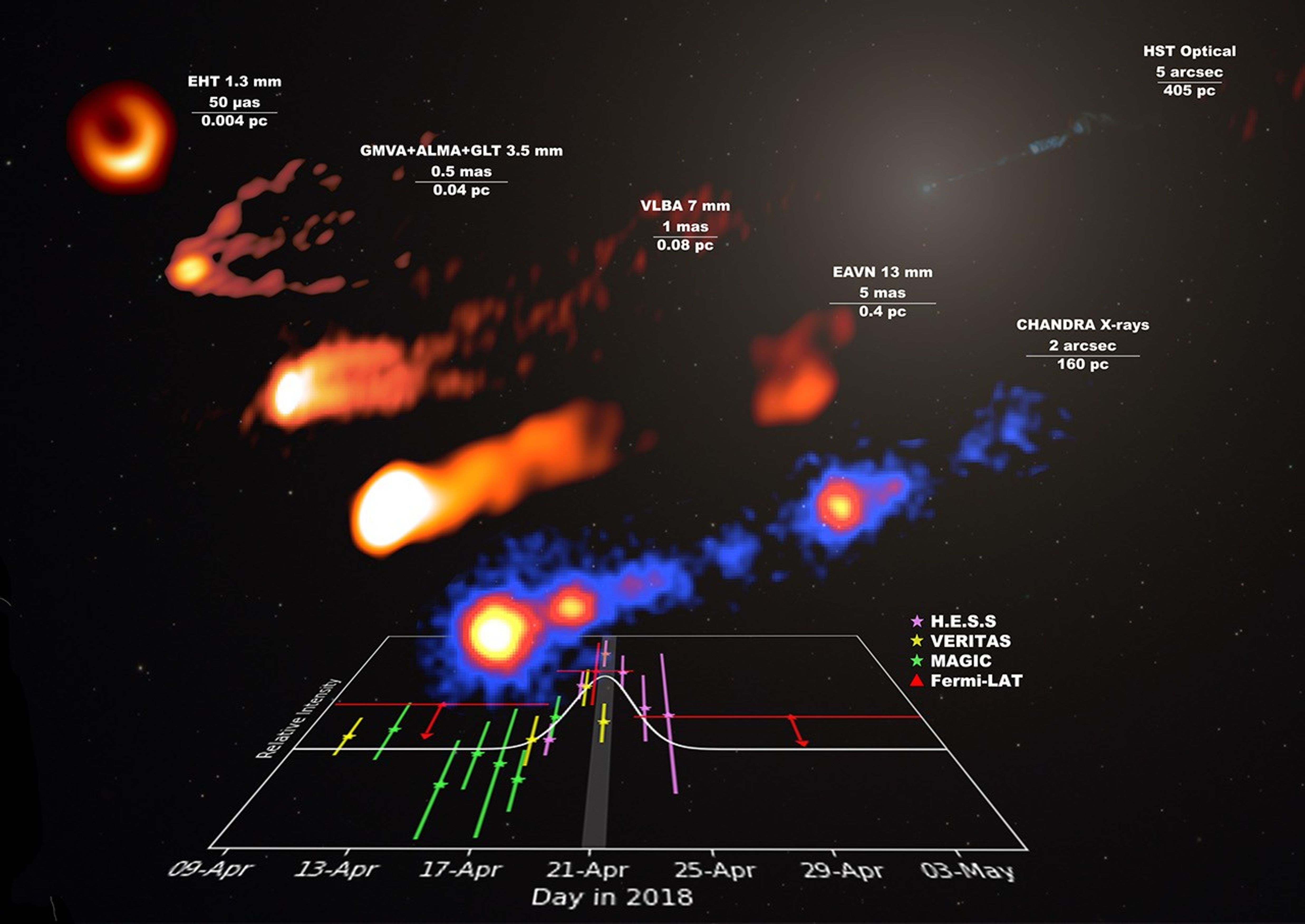 A multiwavelength view of M87's 2019 gamma-ray flare