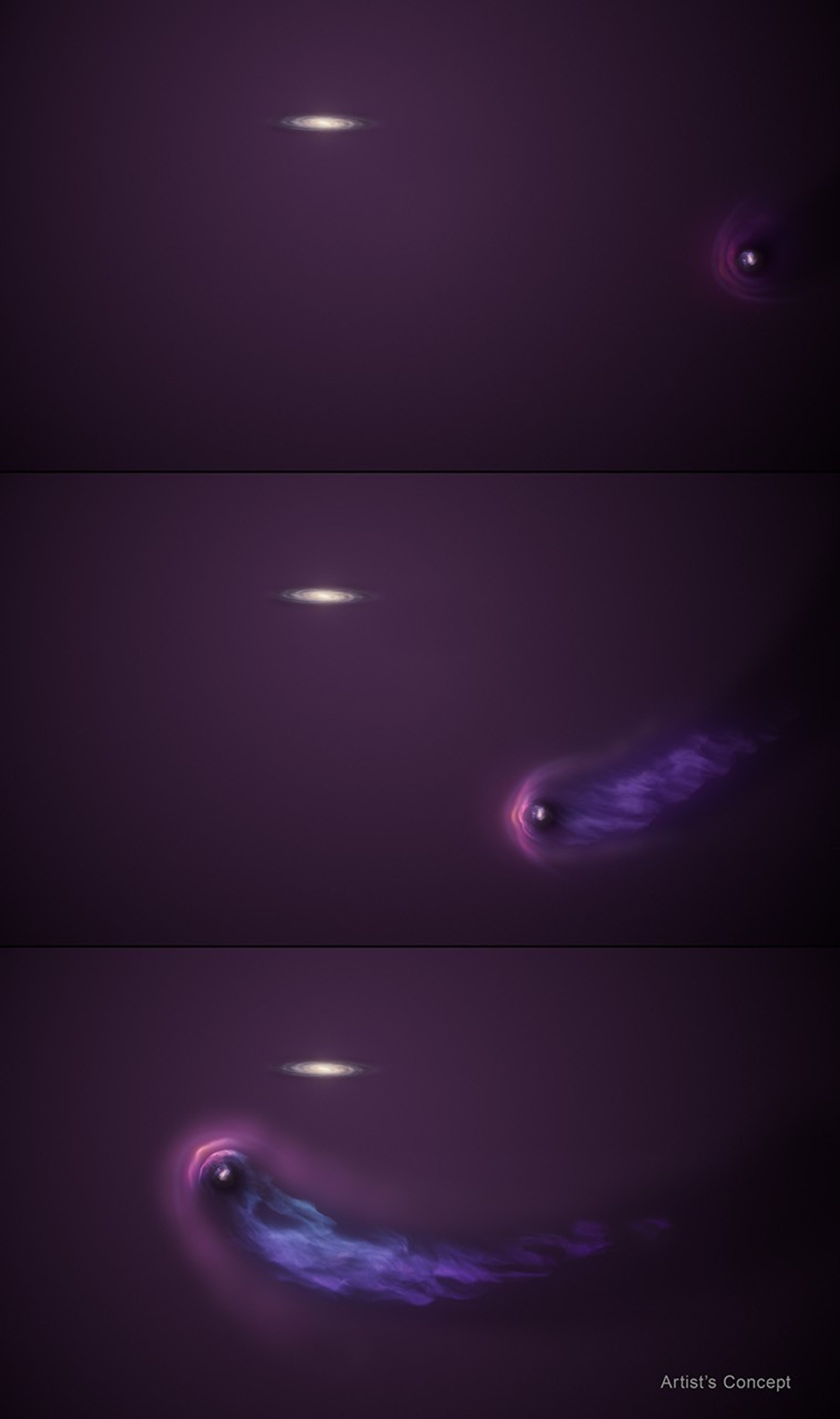 A 3-panel graphic labeled “artist’s concept” at bottom, right corner. Each of the three panels shows the same whitish, whirlpool-like spiral galaxy at middle of top edge. A faint, purple haze surrounds galaxy and stretches to panel’s edges. At the middle of the right side of the first panel, a white dot surrounded by fuzzy, lighter purple halo approaches. In middle panel, a pronounced, light purple bow shock develops to left part of the halo. The right part of halo is being stripped and blown back into a streaming tail of gas. The bottom panel shows the tail becoming longer and more defined as the now tadpole-like object curves below the spiral galaxy and sweeps toward the upper left.