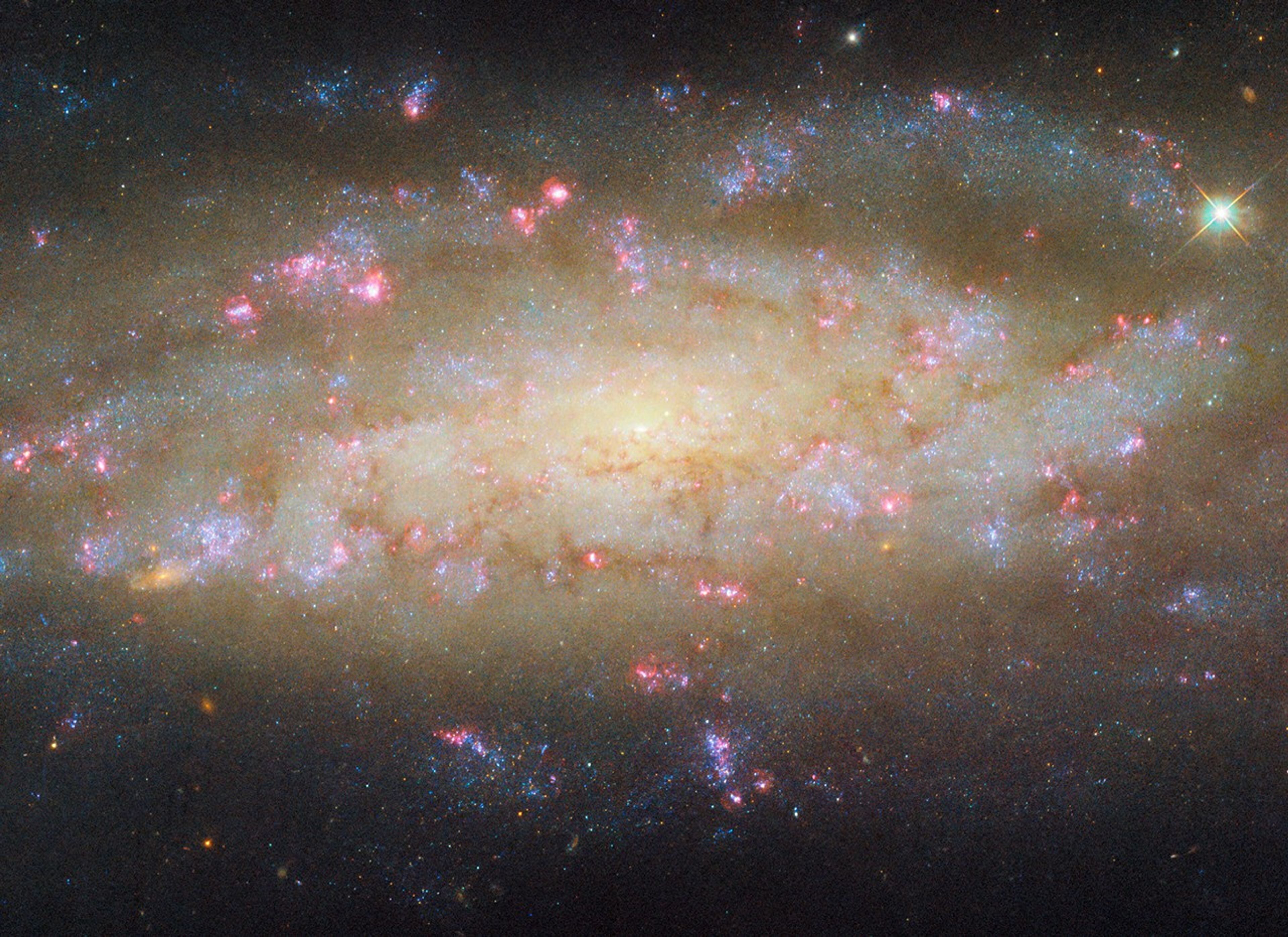 A spiral galaxy. It shines brightly at its center, and most of its disk also glows in warm colors. Its two spiral arms, which wind outward from the center, are made up mostly of large patches of bright blue specks. They also contain thin, reddish clouds of dust, and bright pink bubbles of glowing gas, where stars are forming. Distant galaxies are visible around the galaxy as small orange spots, on a dark background.