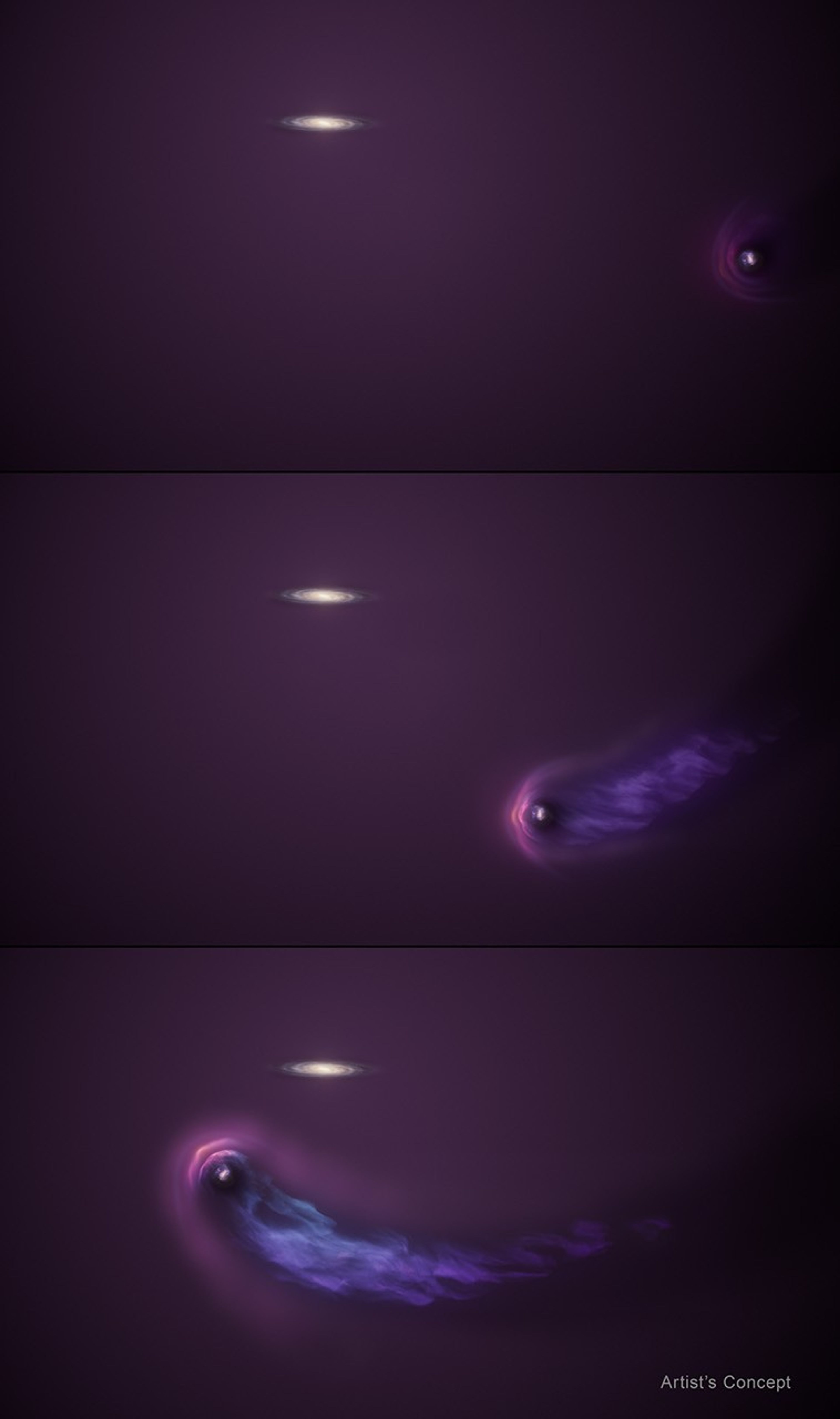 A 3-panel graphic labeled “artist’s concept” at bottom, right corner. Each of the three panels shows the same whitish, whirlpool-like spiral galaxy at middle of top edge. A faint, purple haze surrounds galaxy and stretches to panel’s edges. At the middle of the right side of the first panel, a white dot surrounded by fuzzy, lighter purple halo approaches. In middle panel, a pronounced, light purple bow shock develops to left part of the halo. The right part of halo is being stripped and blown back into a streaming tail of gas. The bottom panel shows the tail becoming longer and more defined as the now tadpole-like object curves below the spiral galaxy and sweeps toward the upper left.