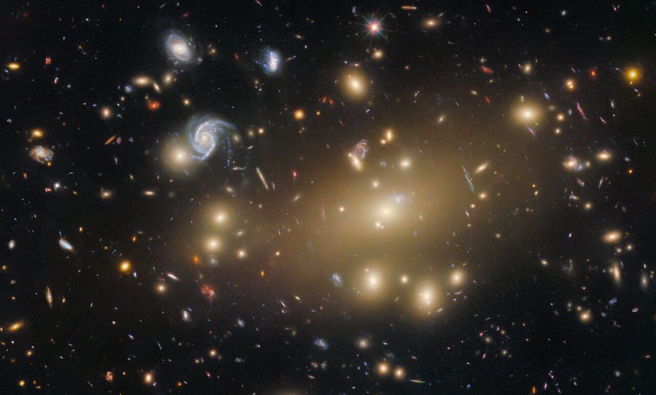 A cluster of distant, mainly elliptical galaxies. They appear as brightly shining points radiating golden light that each take the shape of a smooth, featureless oval. They crowd around one that is extremely large and bright. A few spiral galaxies of comparable size appear too, bluer in color and with unique shapes. Of the other more small and distant galaxies covering the scene, a few are warped into long lines.