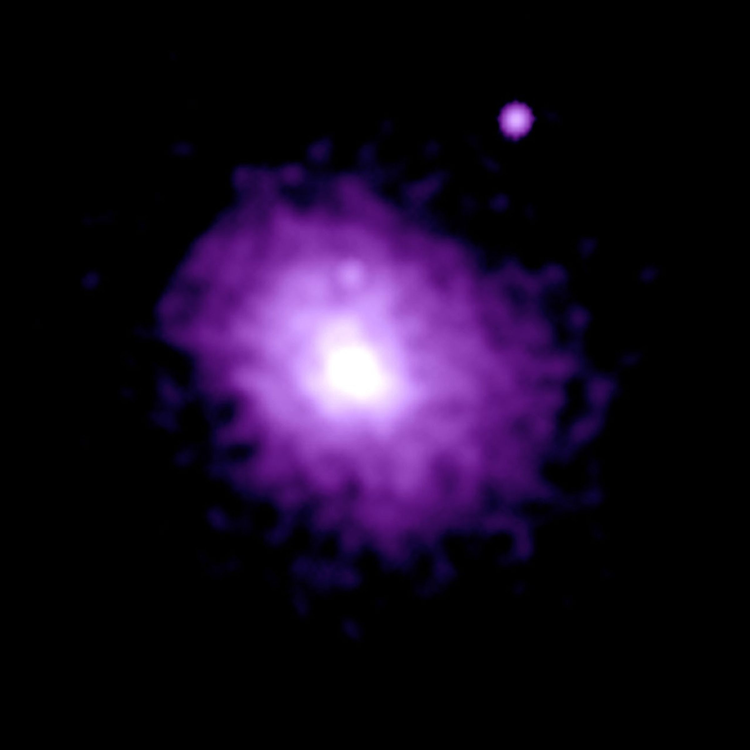 A bright, purple oval with an even brighter, white core. The core appears to have one very bright, white region and then a slightly dimmer white region.  To the upper-right of the primary purple oval is a much smaller bright purple circle with a white center.