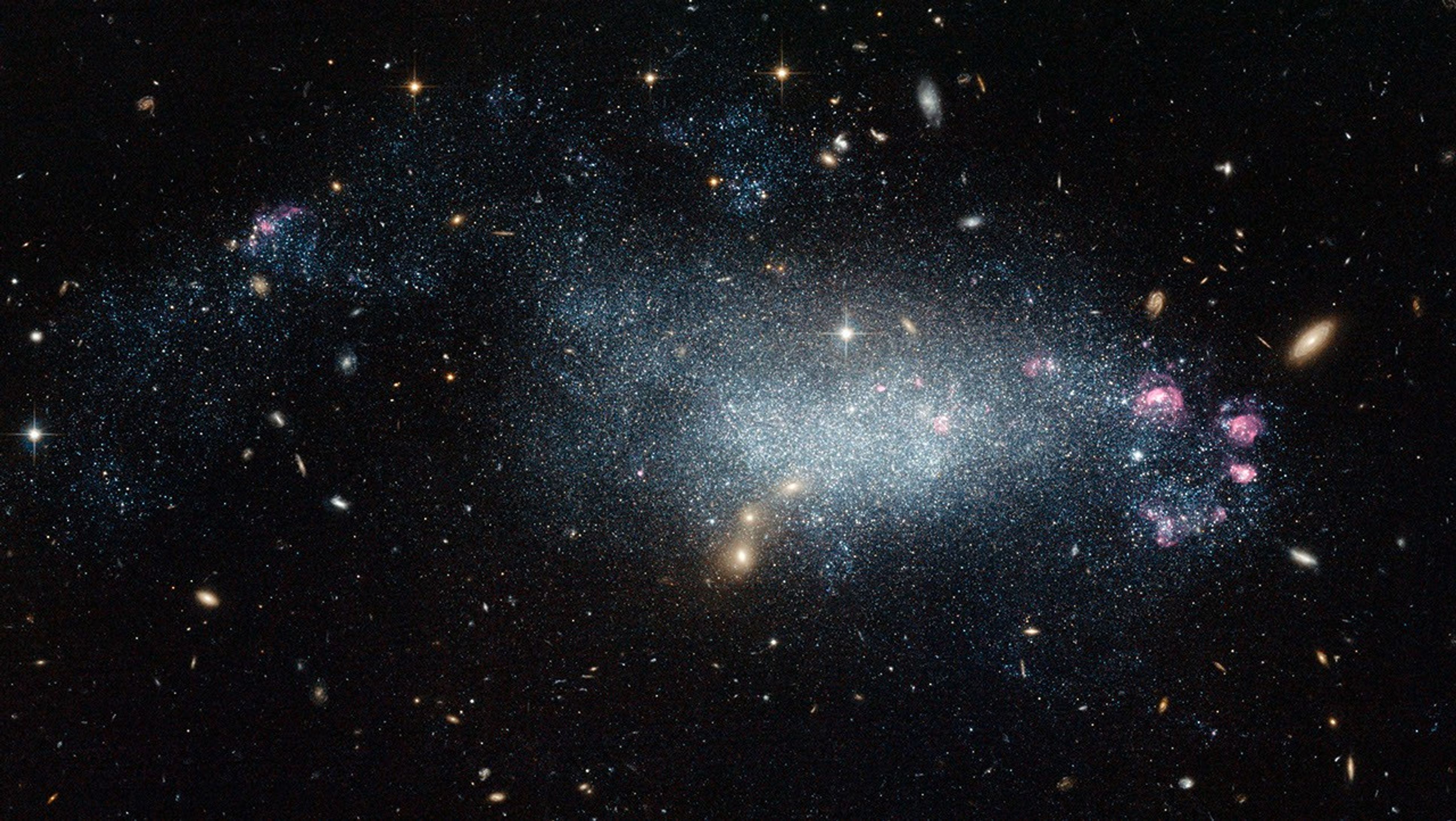 A pale blue-white dwarf galaxy on the black backdrop of space, with many faraway galaxies of various types and colors visible in the background throughout. The galaxy itself resembles a fuzzy cloud of tightly packed stars.. Spread across the galaxy’s edges and near the core are several small, glowing purple-pink patches of gas where there is a concentration of very hot stars.