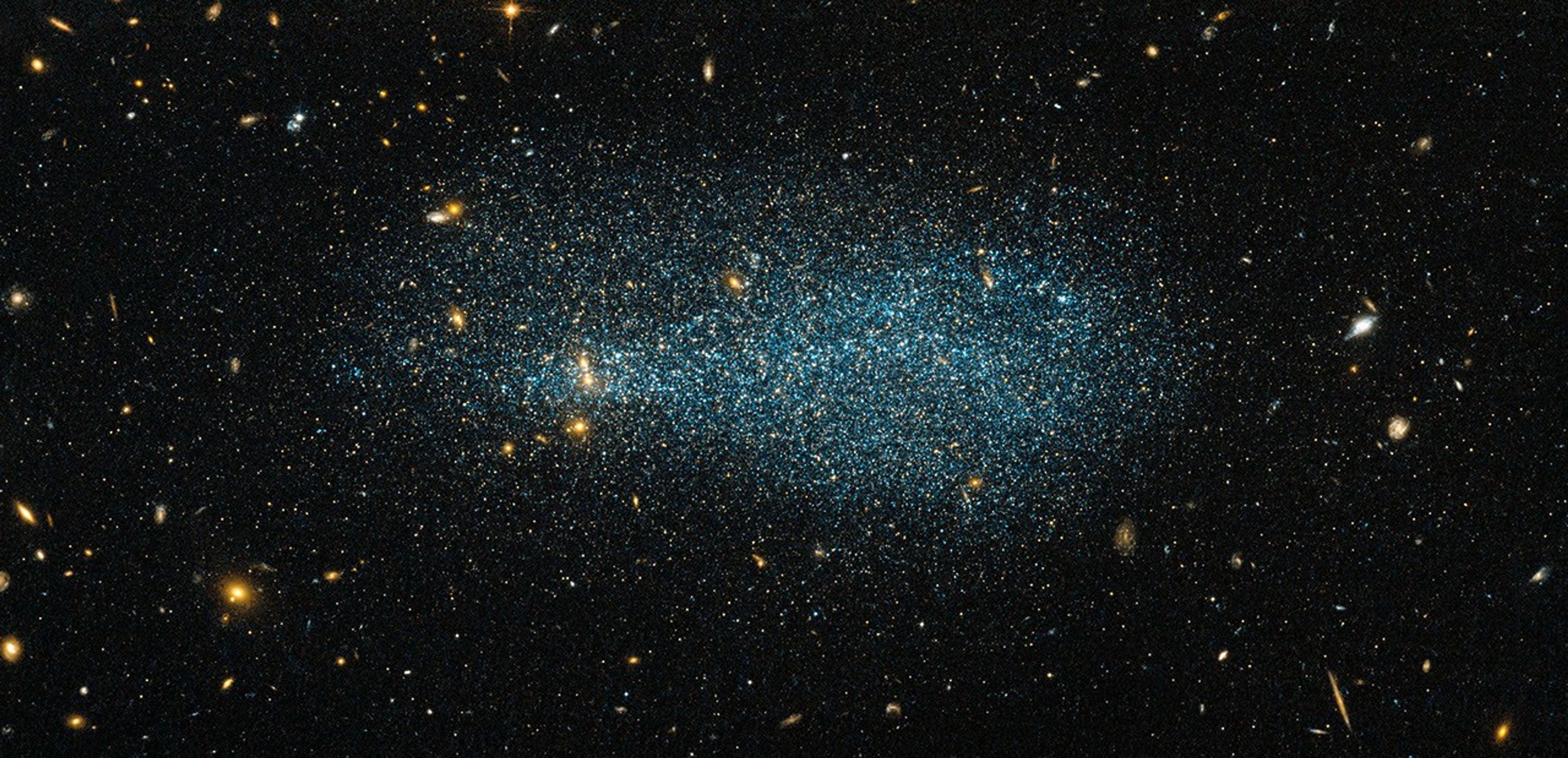 An asymmetrical blob of bluish stars on a black background speckled with golden galaxies.