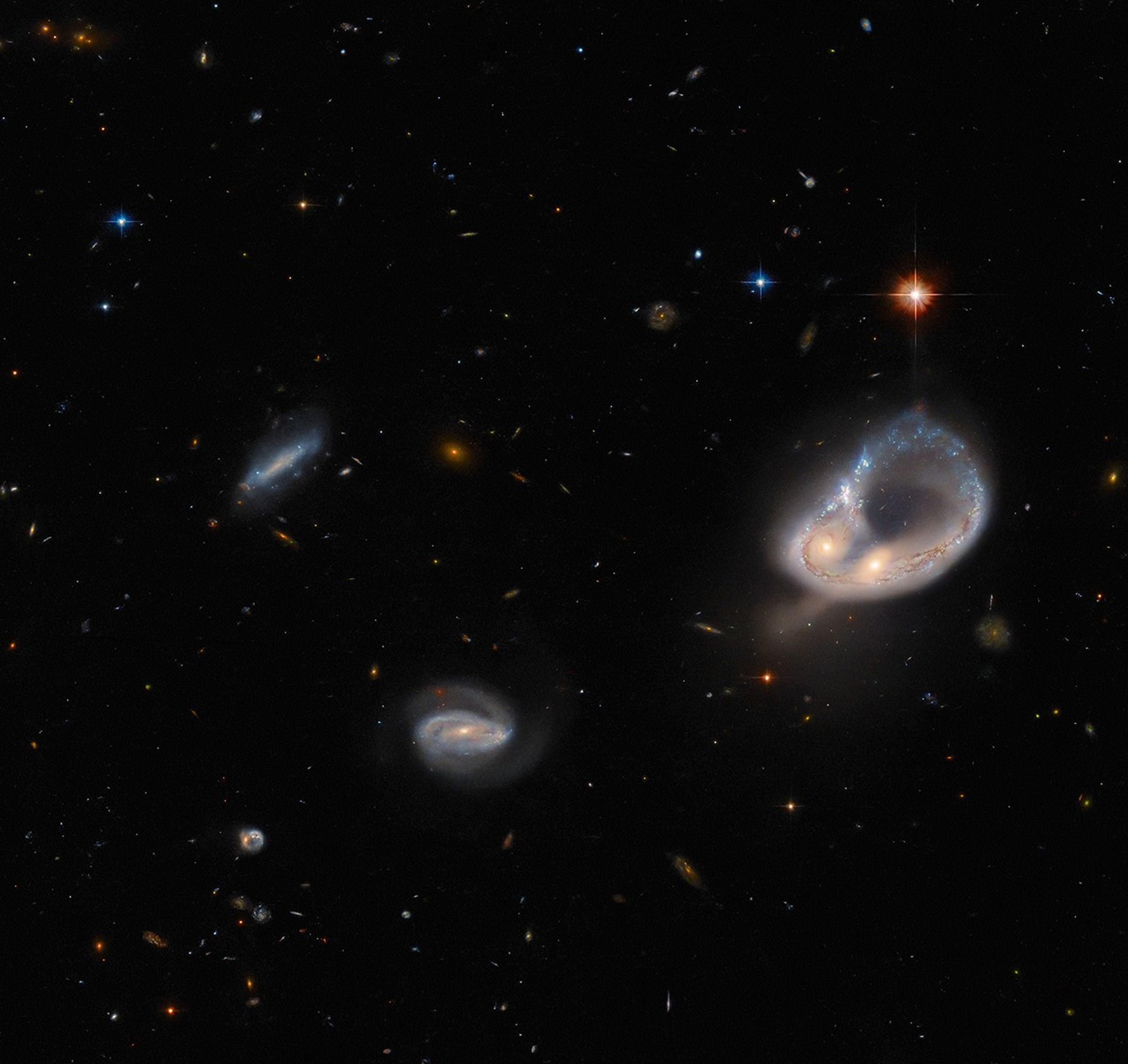 Two galaxies right of center form a ring shape. The ring is narrow and blue, and the cores of the two galaxies form a bulge on the ring’s side. A bright, orange star lies above the ring. Two smaller spiral galaxies appear left of center, as well as a few stars. The background is black and speckled with very small stars and galaxies.