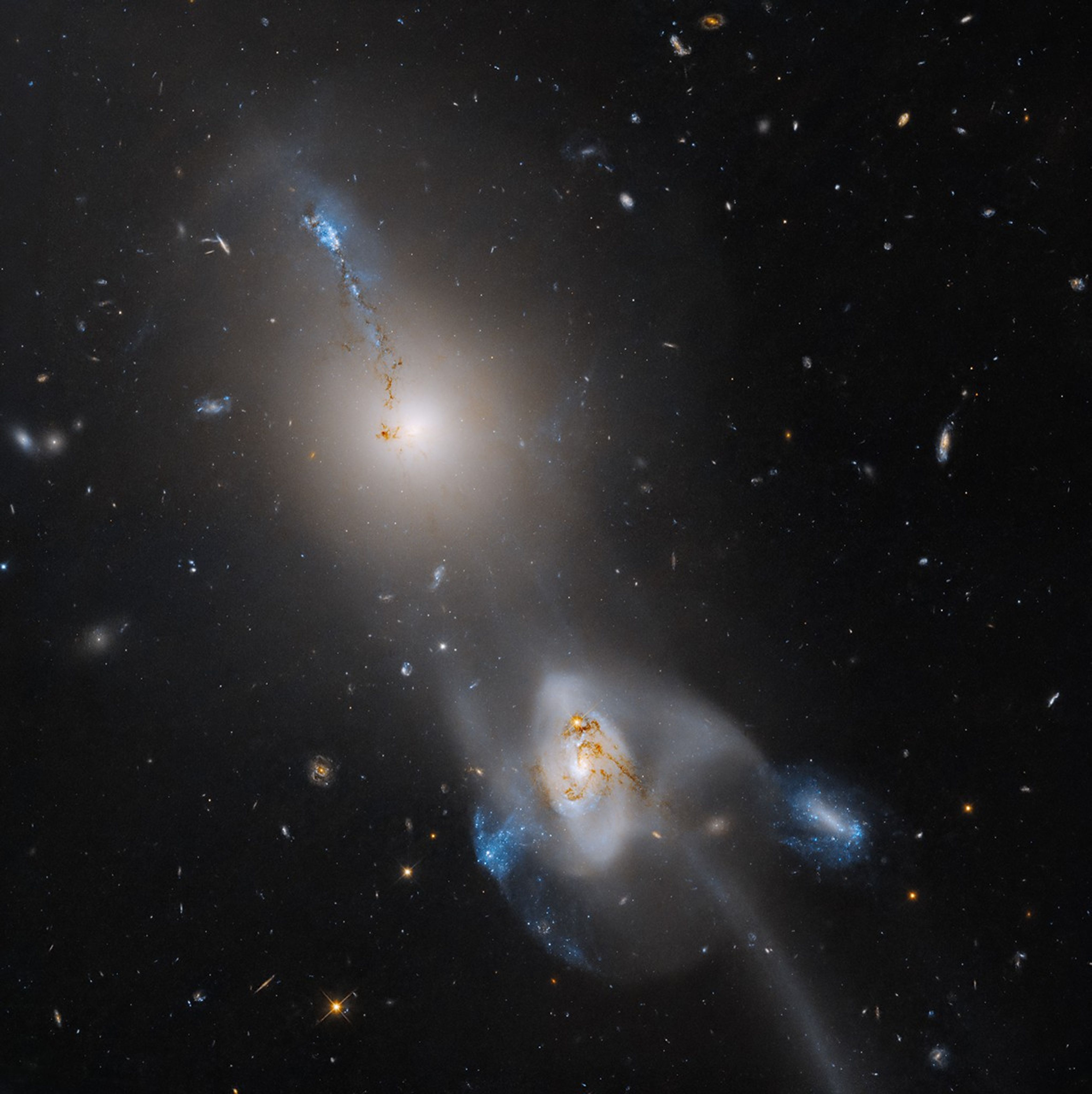 An elliptical galaxy (upper left) and a spiral galaxy (lower right) are connected by a stream of drawn-out gas. Two significant bright blue blobs of star formation are visible on the outskirts of the spiral galaxy, and another extends away from the center of the elliptical. A long tail is visible extending from the spiral galaxy.