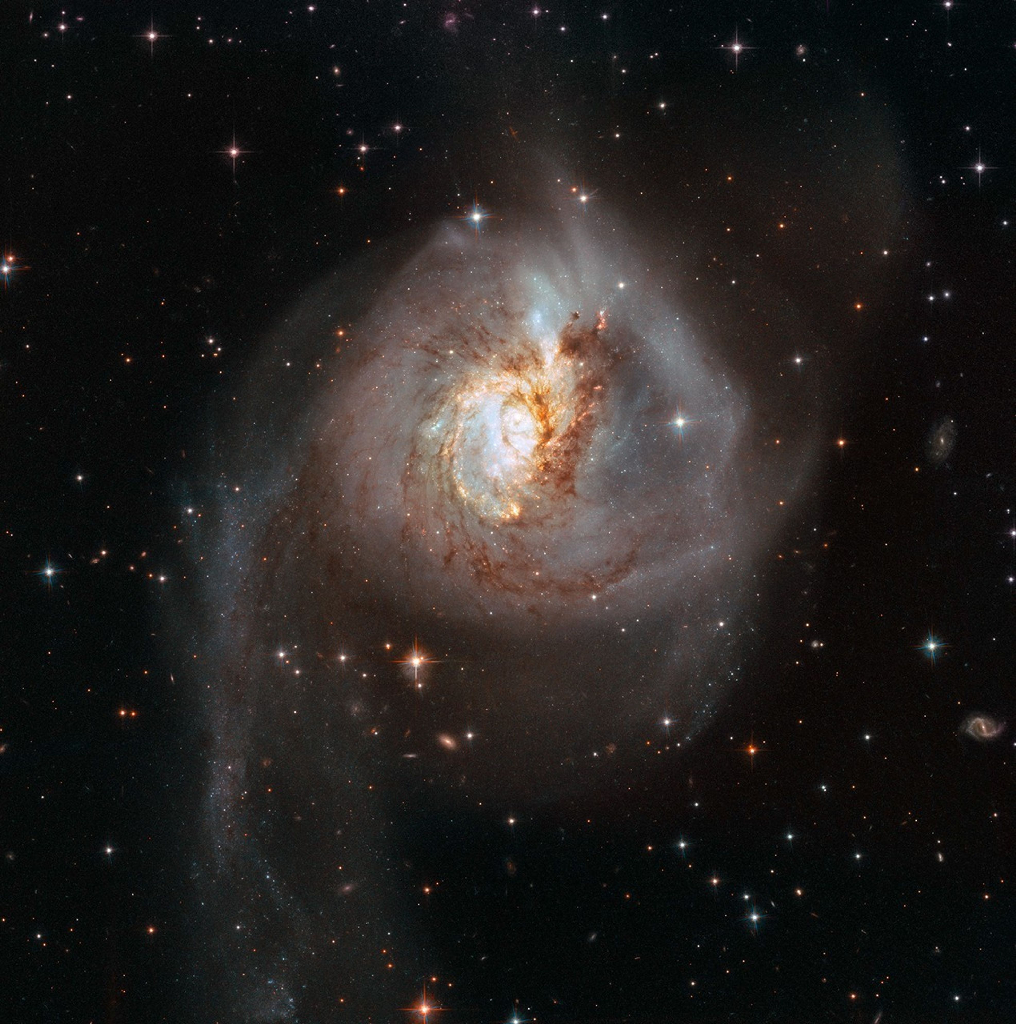 A galaxy with a white core, and rings of orange and red-brown around it. Its arms and trails of stars and dust are white, dark red, and pinkish.