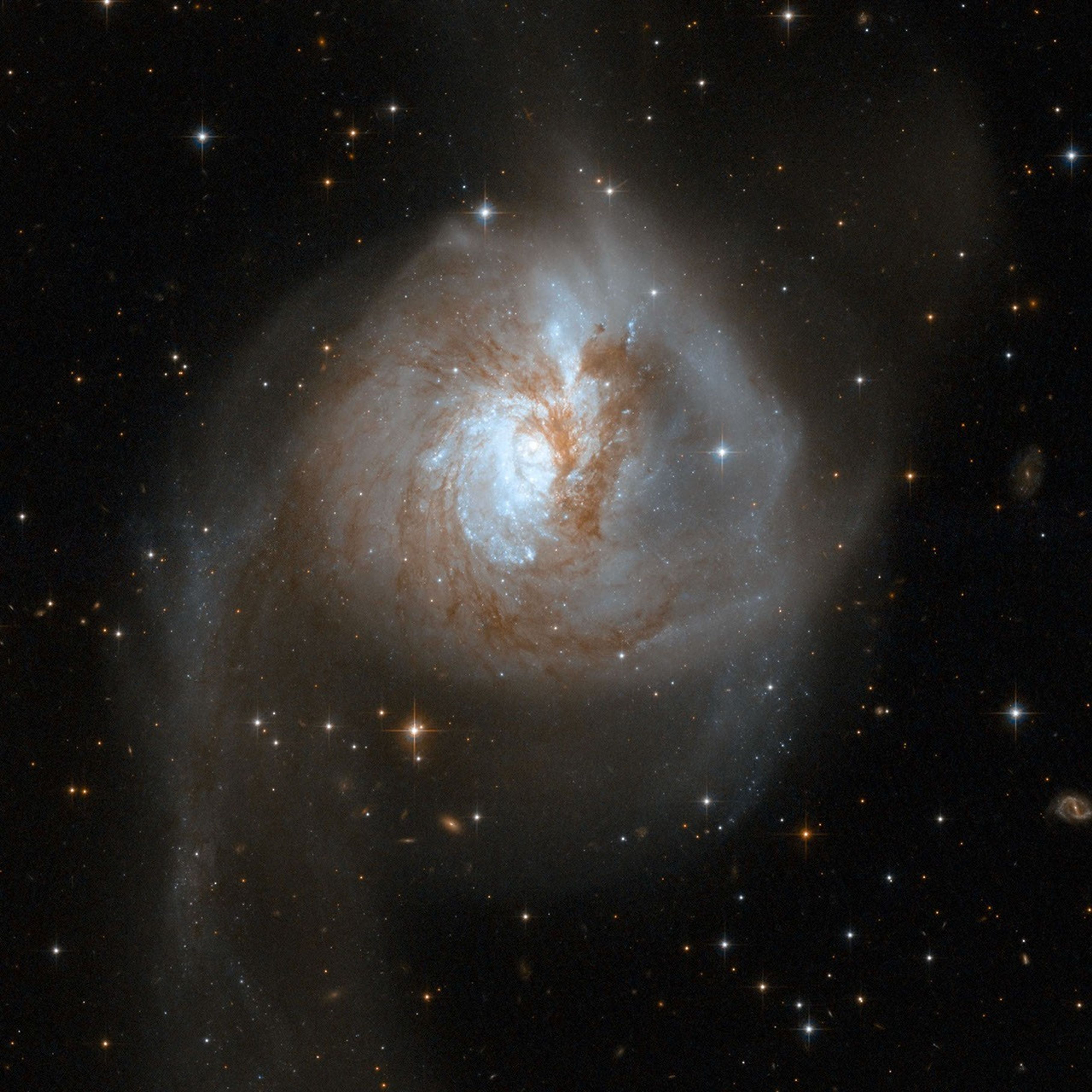 A pair of interacting galaxies with a large egg-like shape. Brown-red dust is mixed throughout the center, and two uneven light-blue “arms” extend down from the middle.