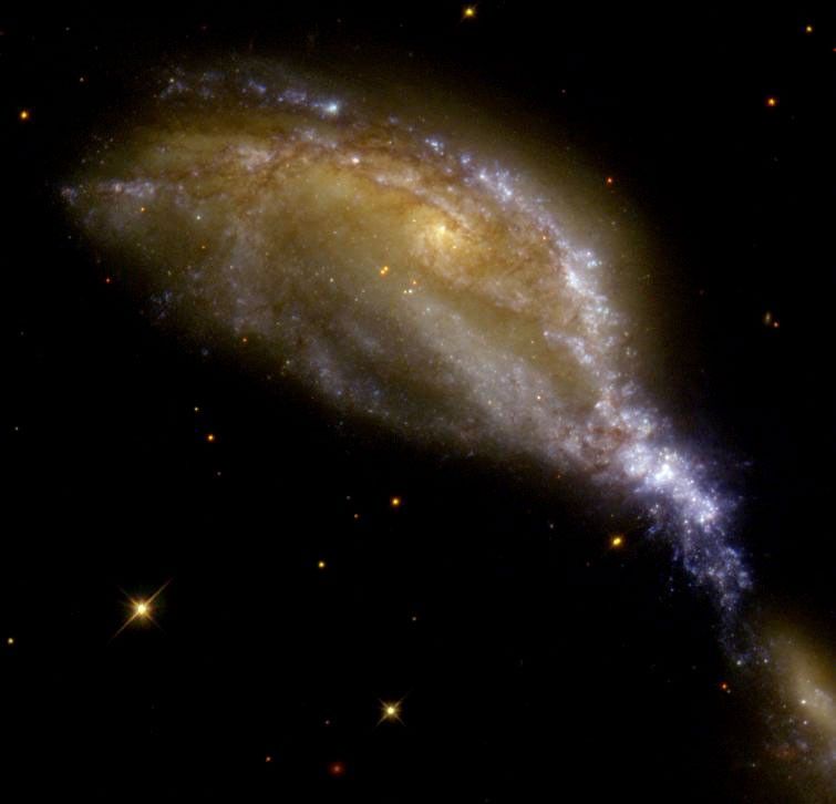 A yellow-brown galaxy with bands of pink, white, and blue stars and brown dust is being stretched to the lower half of the image by an orange-y galaxy mostly out of frame. The clump of stars being stretched towards it appears purple-white