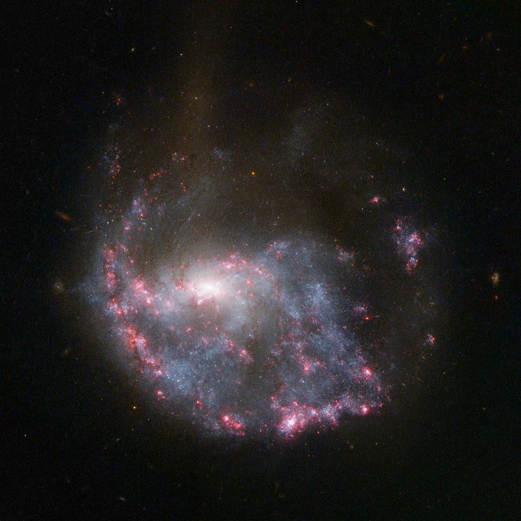 White galaxy center with a haze of blue-white stars mostly below it; area above the center is thinner. Many thick streaks of reddish-pink nebulae, including forming an outer ring around the galaxy.