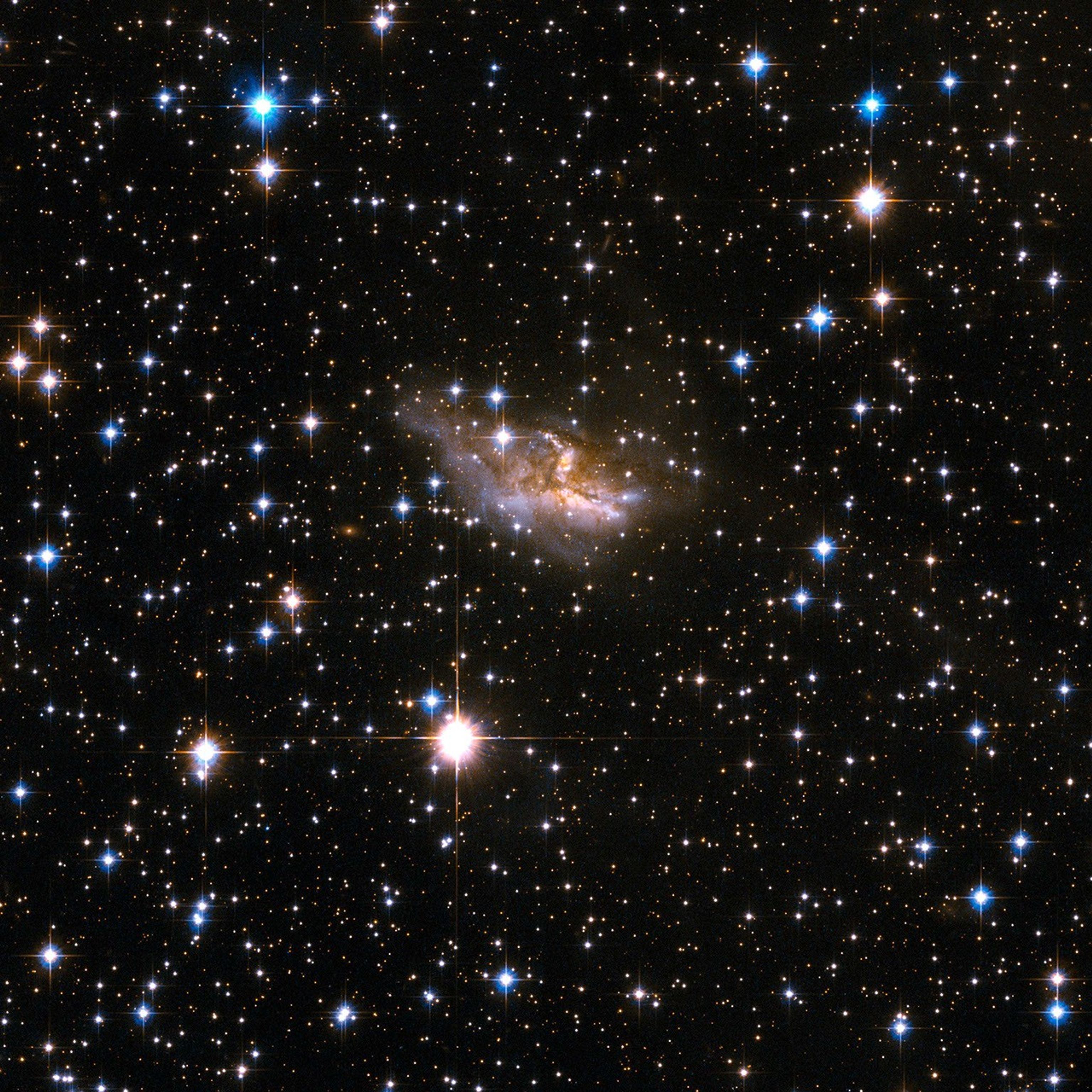 A field of stars, with dozens of them in the foreground (some blue, some reddish-white) and hundreds more in the background. Just above the center of the image is the galaxy, appearing as a smeary cloud of reddish brown dust, and white and pink swirls of stars.
