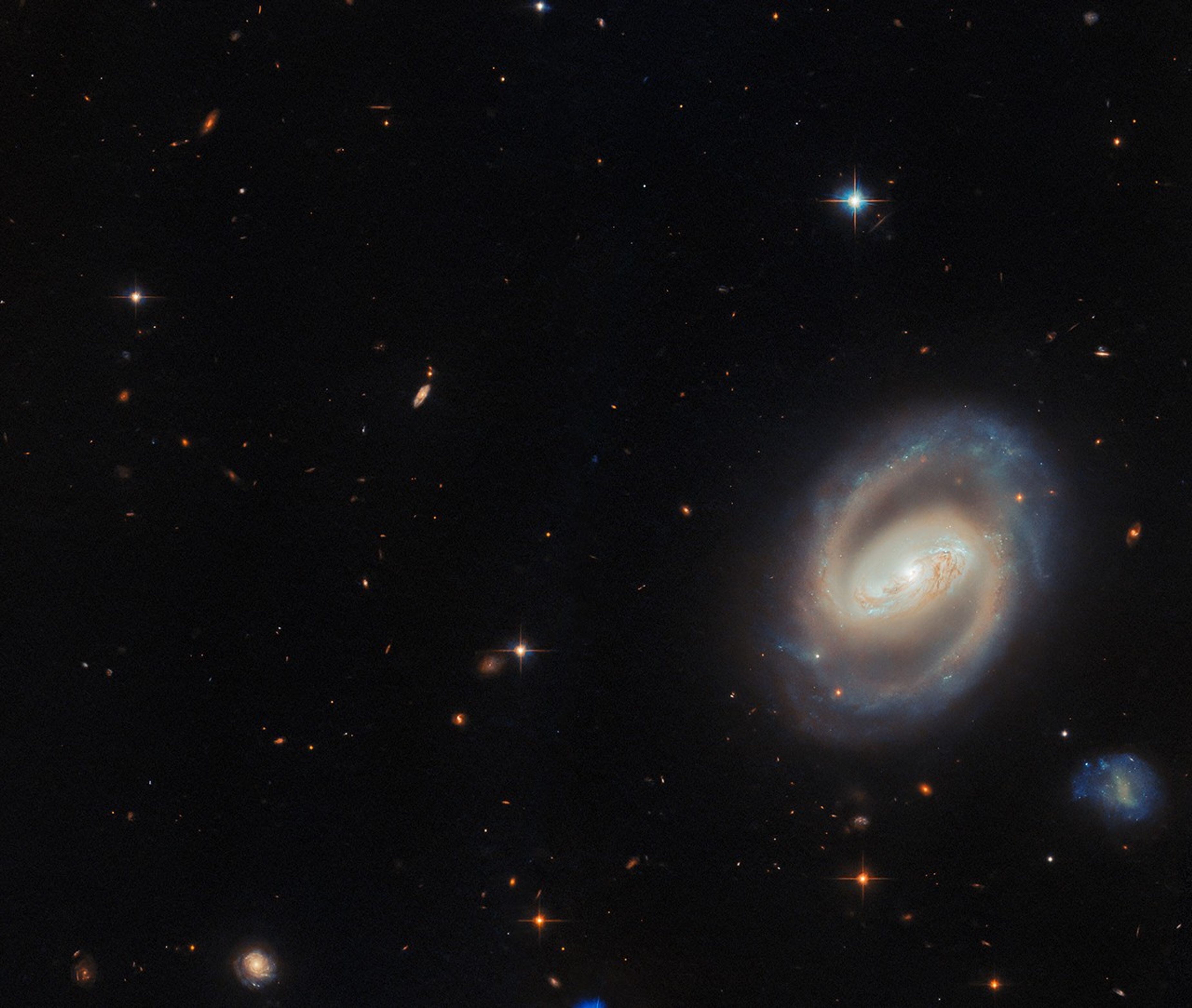 The face-on view of the barred spiral galaxy IC 486 dominates the right side of this image. The wide-field view is dominated against a black background of space by many distant galaxies that appear as orange-red dots throughout the scene. A few foreground stars are also visible.