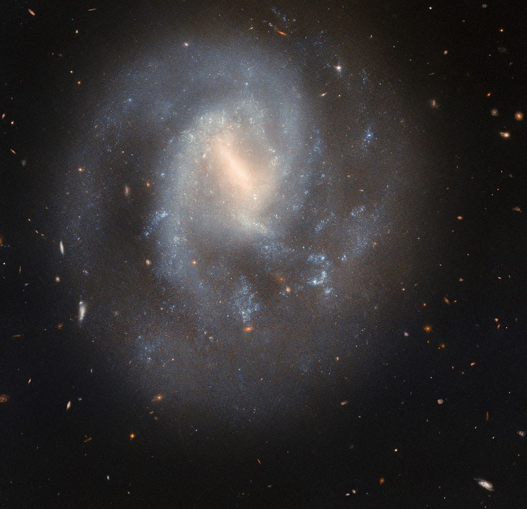 Hubble Studies a Spiral’s Supernova Scene