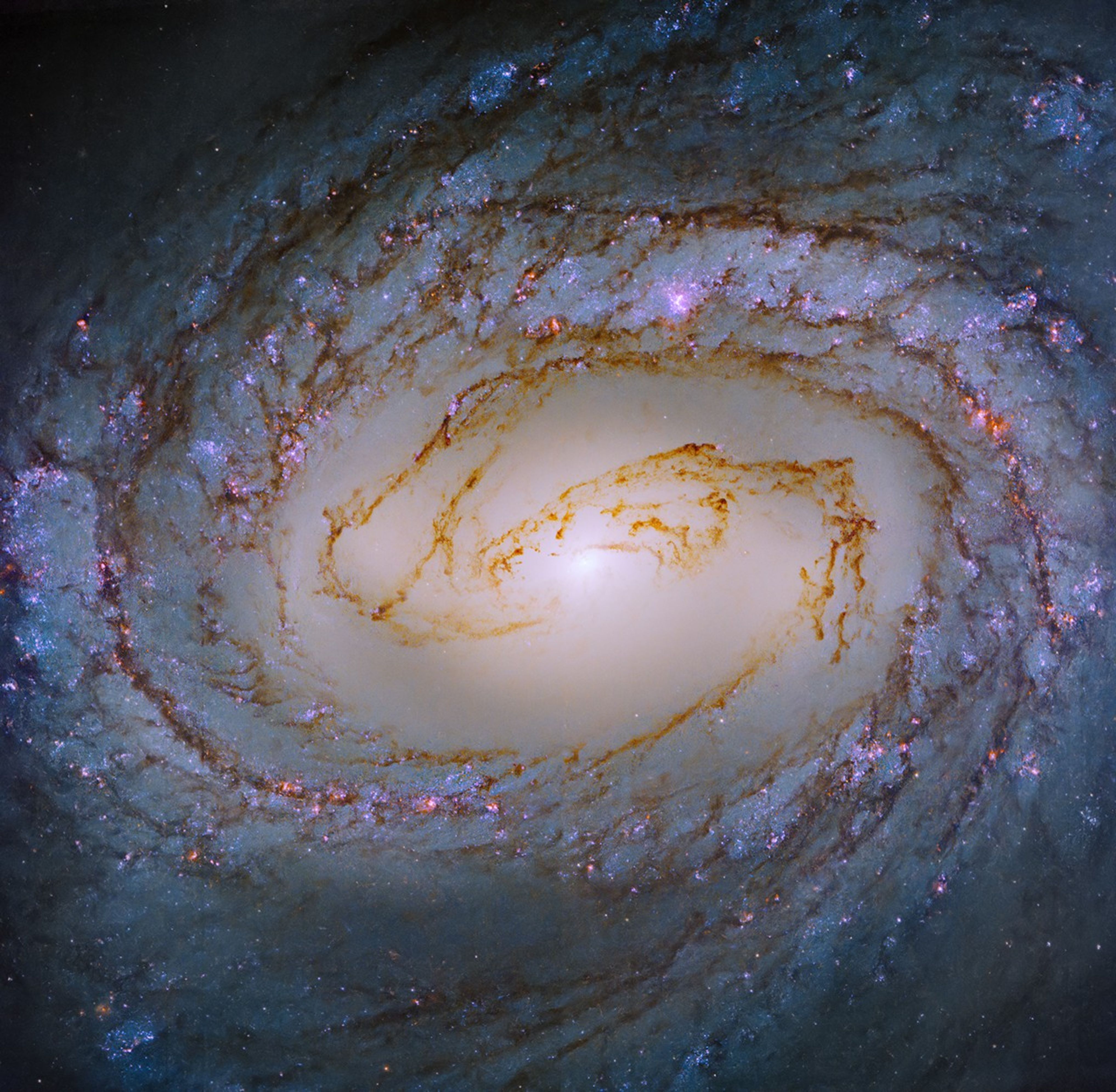 A beautiful, nearly face-on spiral galaxy in shades of blue and pink fills the view. Its bright-white core is bisected with rusty-brown clouds that extend into the inner part of the galaxy’s spiral arms. Bright reddish-pink star forming regions shine like beacons that dot its spiral arms.