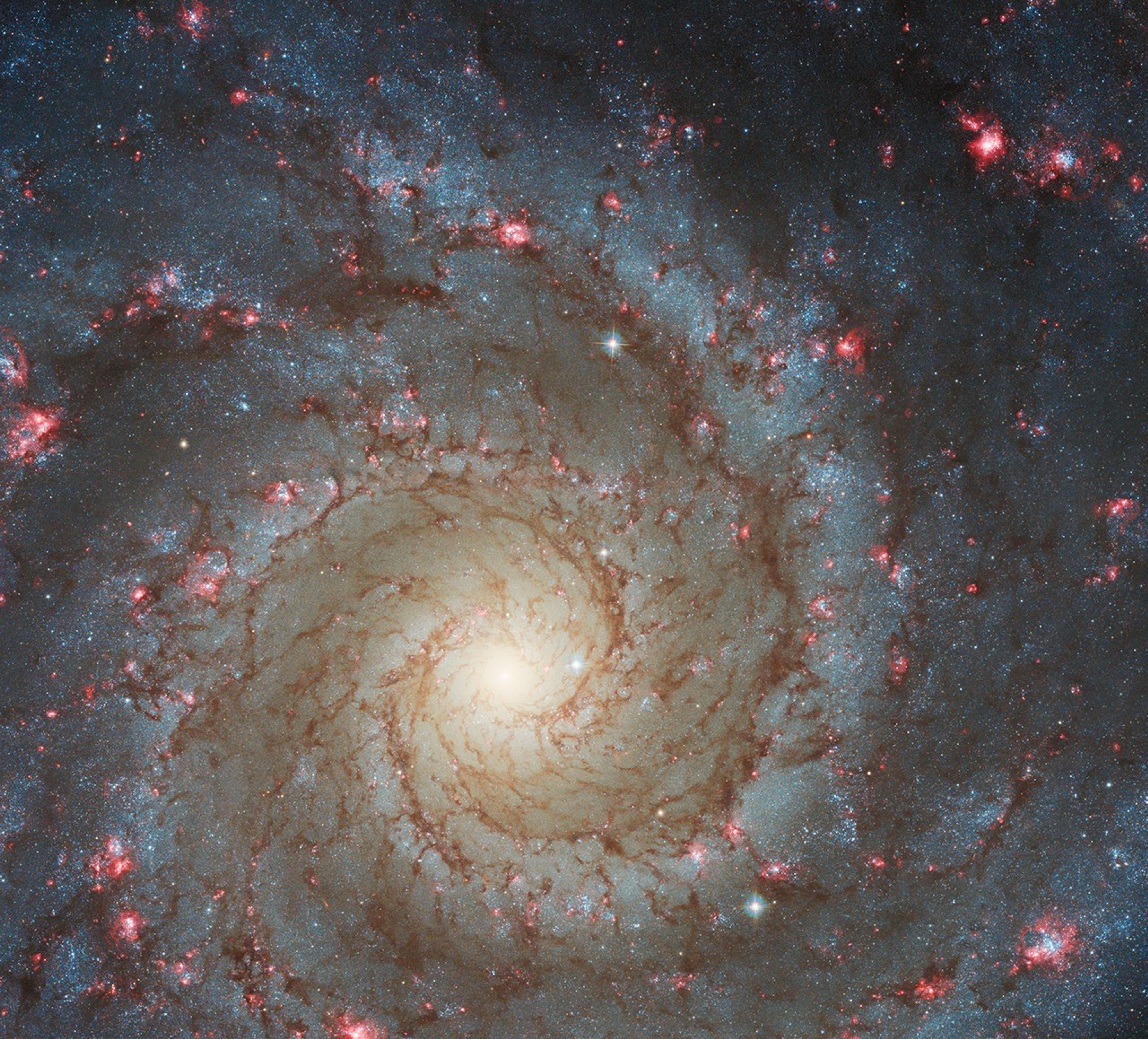 A beautiful, face-on spiral galaxy. Its spiral arms are outlined by rusty-brown dust lanes and bright-blue stars.