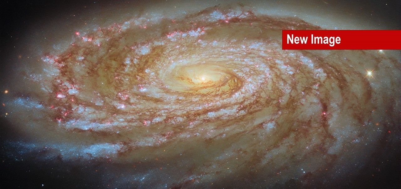Messier 88 - NASA Science