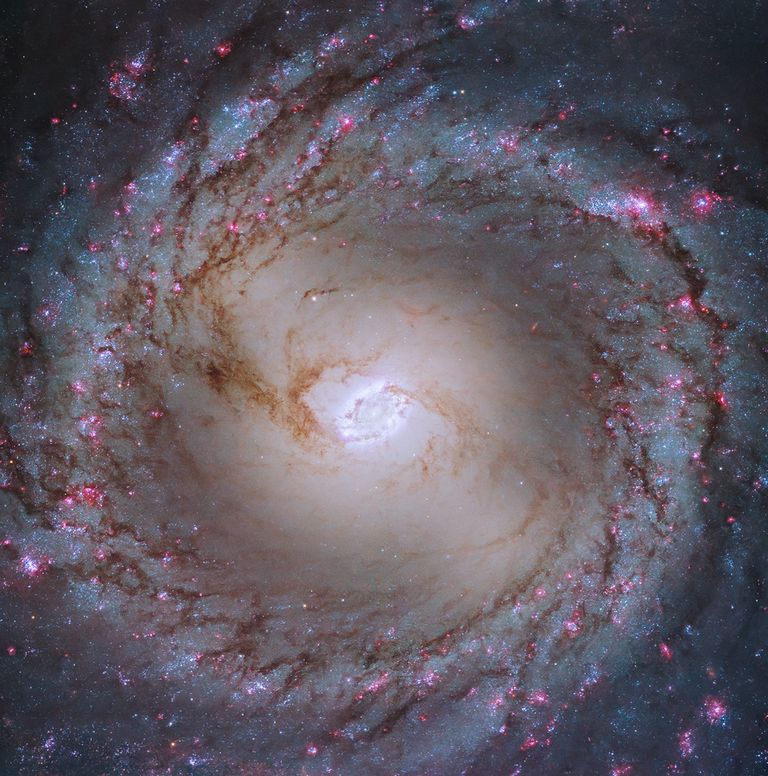 Hubble's Messier Marathon 2026 - NASA Science