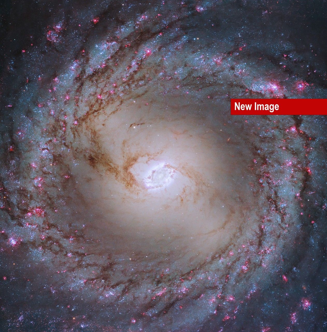 Messier 95 - NASA Science
