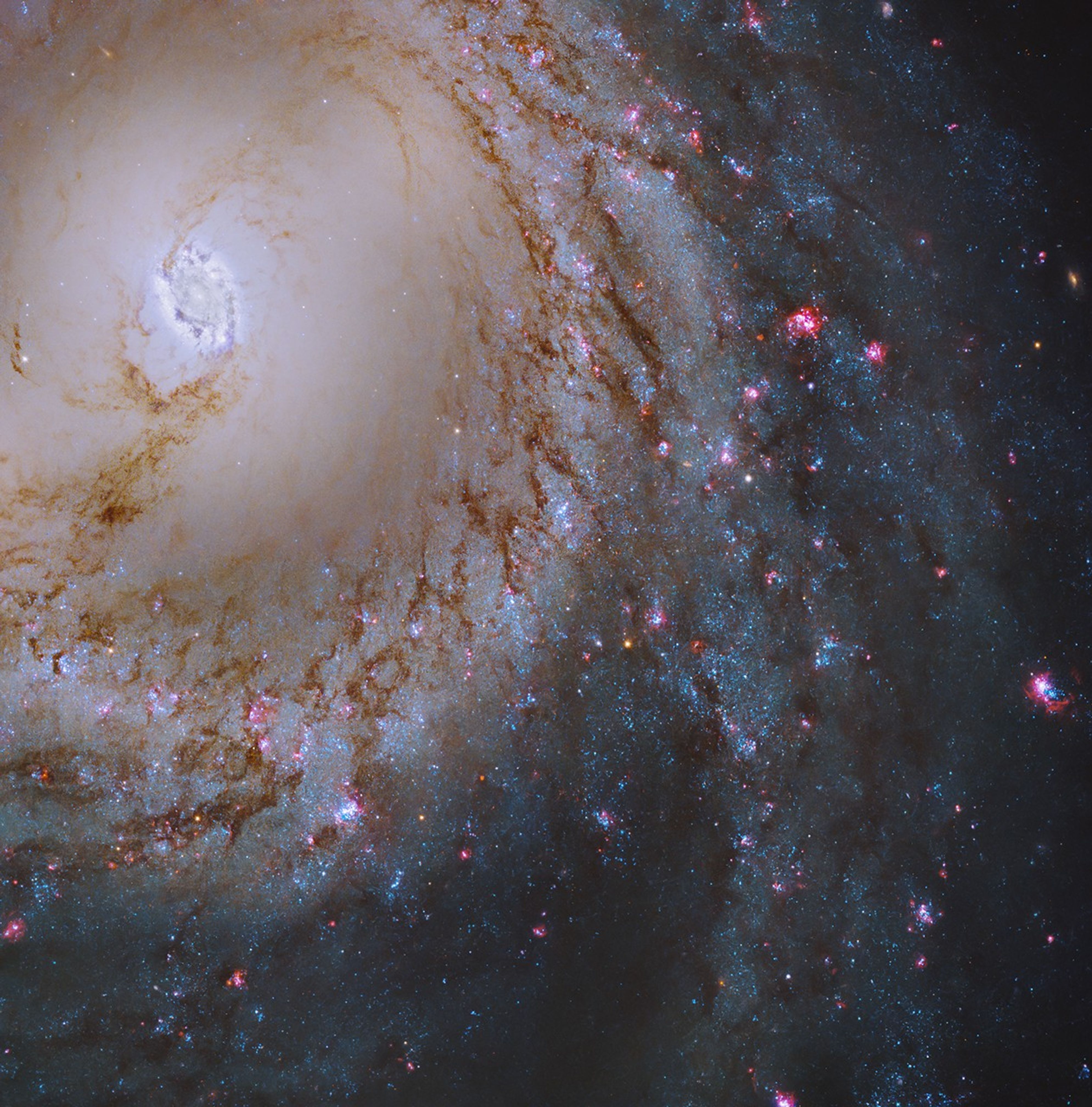A portion of a barred spiral galaxy is visible in the upper-right corner of the image. Its bright core is near the upper-right corner while a large spiral arm curves downward from top-center of the image. The galaxy’s barred core is bisected by reddish-brown dust that extends into the spiral arms. Bright pinkish-red star forming regions dot the spiral arm.