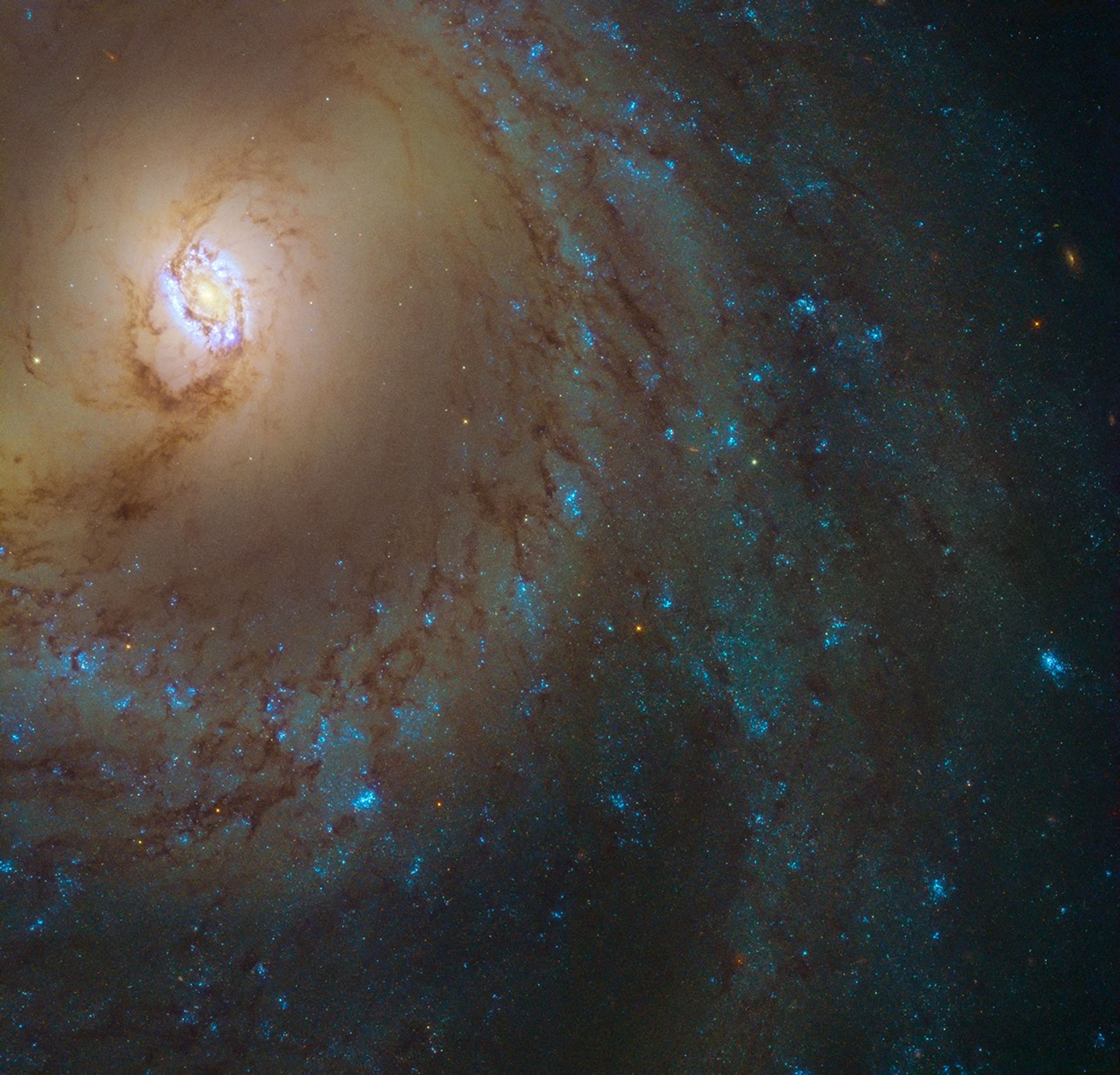 A portion of a spiral galaxy. A bright halo and ring of stars and dust surrounds the galaxy's bright core. Blue star clusters and dark dust lanes denote the galaxy's arms.