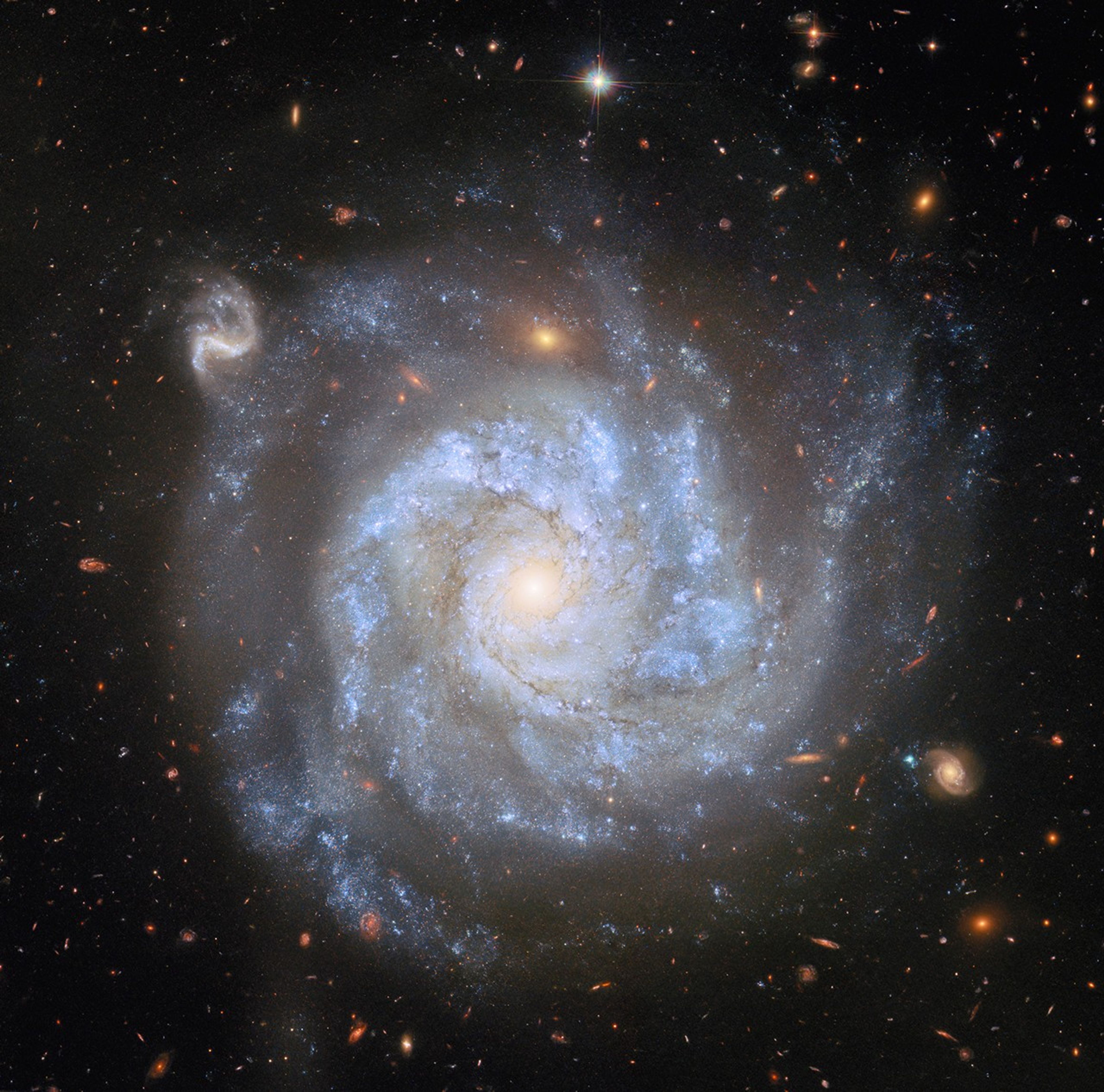 A top-down view of a spiral galaxy, showing its brightly-shining center, its broad spiral arms, and the faint halo around its disk, as well as distant galaxies and stars on a dark background. Large blue clouds of gas speckled with small stars and strands of dark dust swirl around the galaxy’s disk. A couple of the background galaxies are large enough that their own swirling spiral arms are visible.