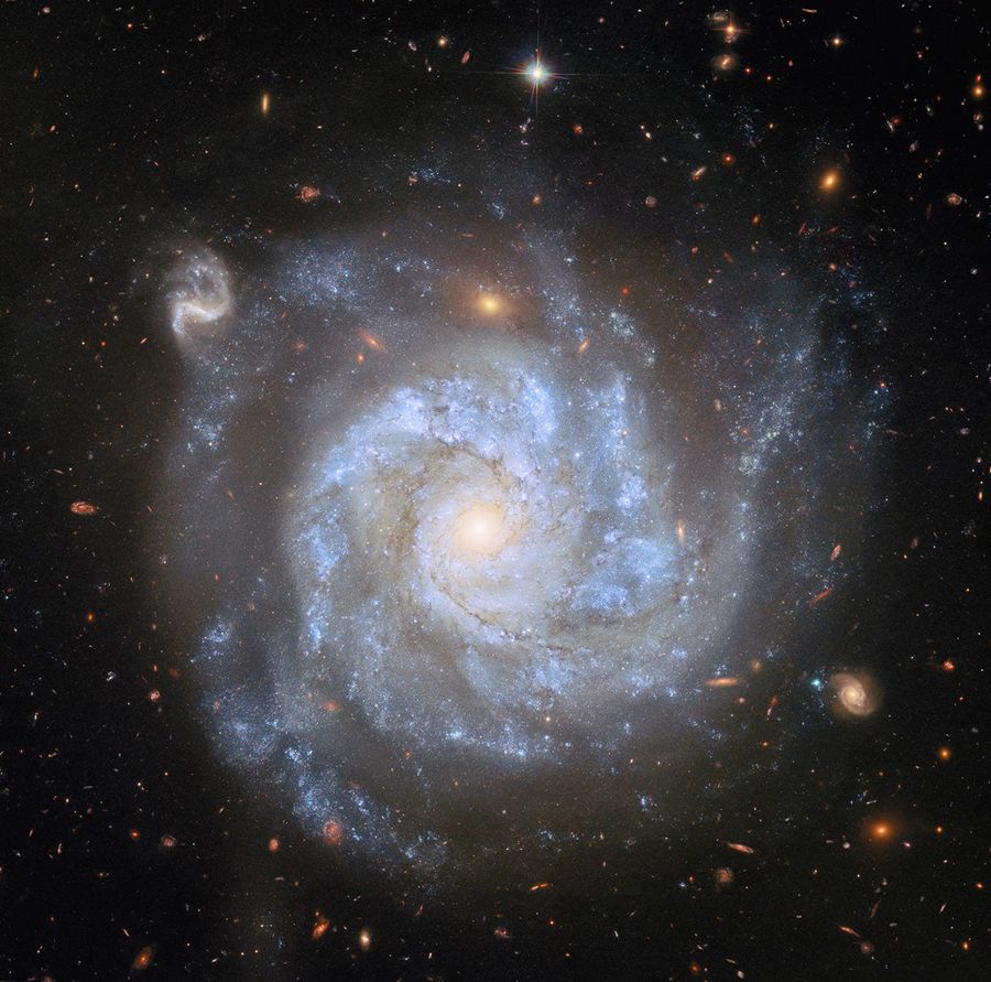 Hubble Face Hubble Surveys Supernova-Rich Spiral - NASA Science