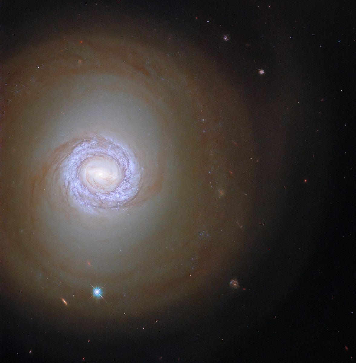 Hubble Pinpoints Young Stars in Spiral Galaxy - NASA Science