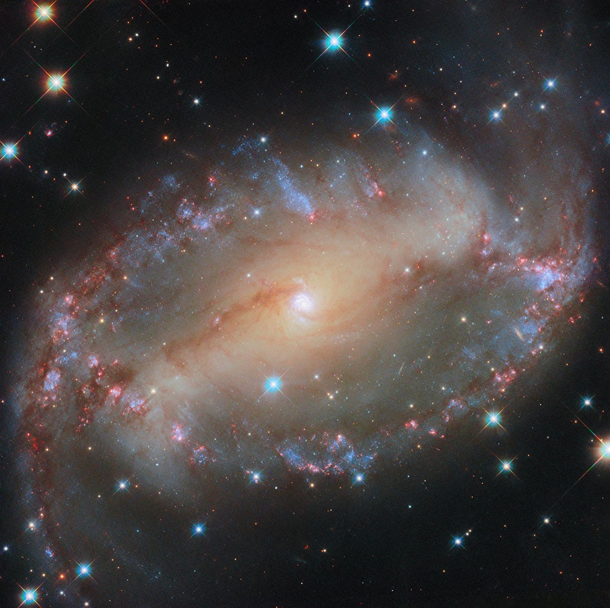 An oval-shaped spiral galaxy. Its core is a compact, glowing blue spot. A bright bar of light, lined with dark reddish dust, extends horizontally to the edge of the disk. A spiral arm emerges from each end of the bar and follows the edge of the disk, lined with blue and red glowing patches of stars, to the opposite end and a little off the galaxy. A scattering of blue stars are between us and the galaxy.