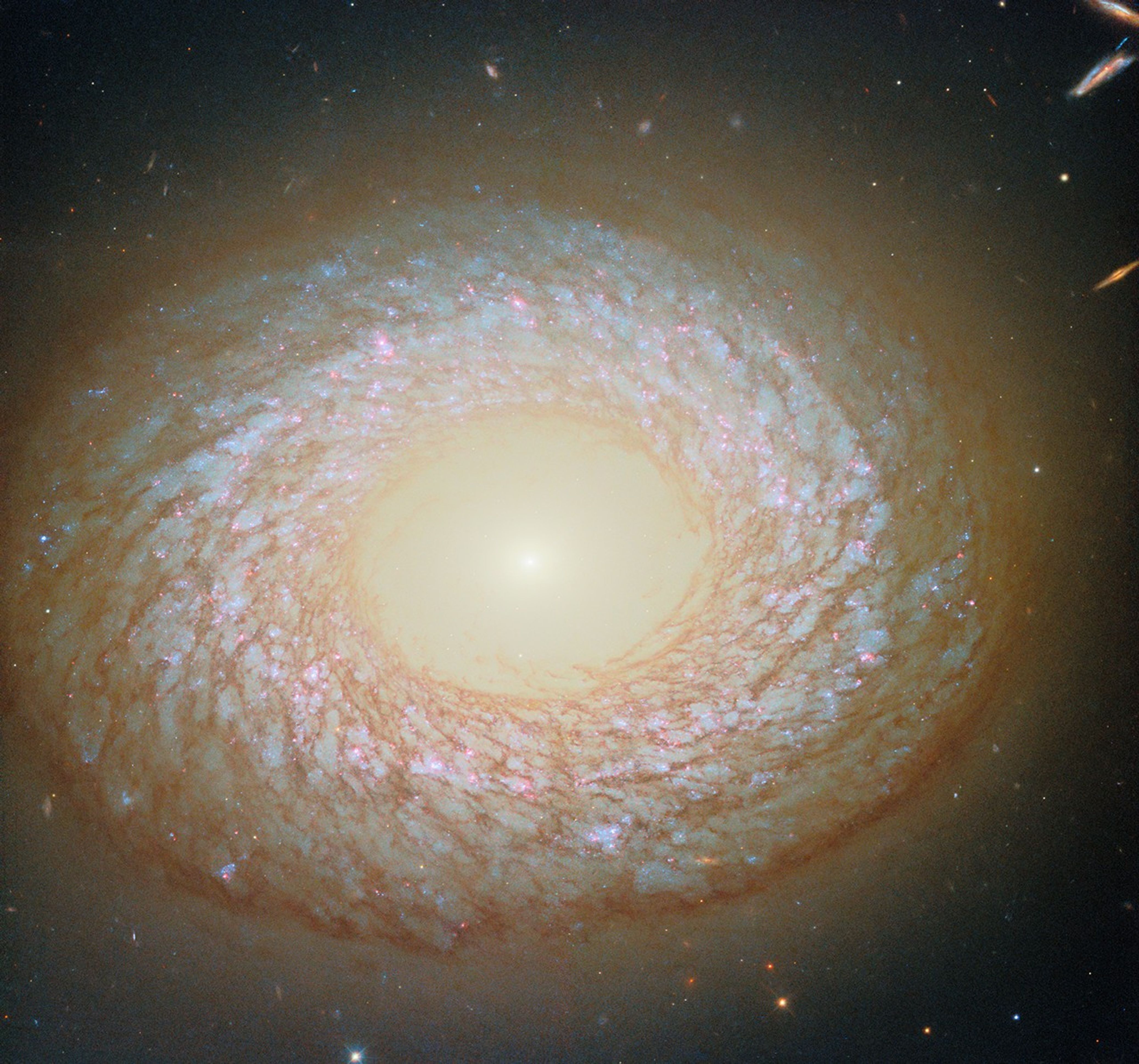 A galaxy seen face-on, with a slightly elliptical disk that appears to have a hole in the center like a doughnut. In the hole, the core is a brightly glowing point that shines light out beyond the edge of the disk. Around the hole is an inner ring of dust, and at the galaxy’s edge is a thicker outer ring of dust, with a swirling web of dust strands in between. Blue stars and red nebulae are visible behind the dust.