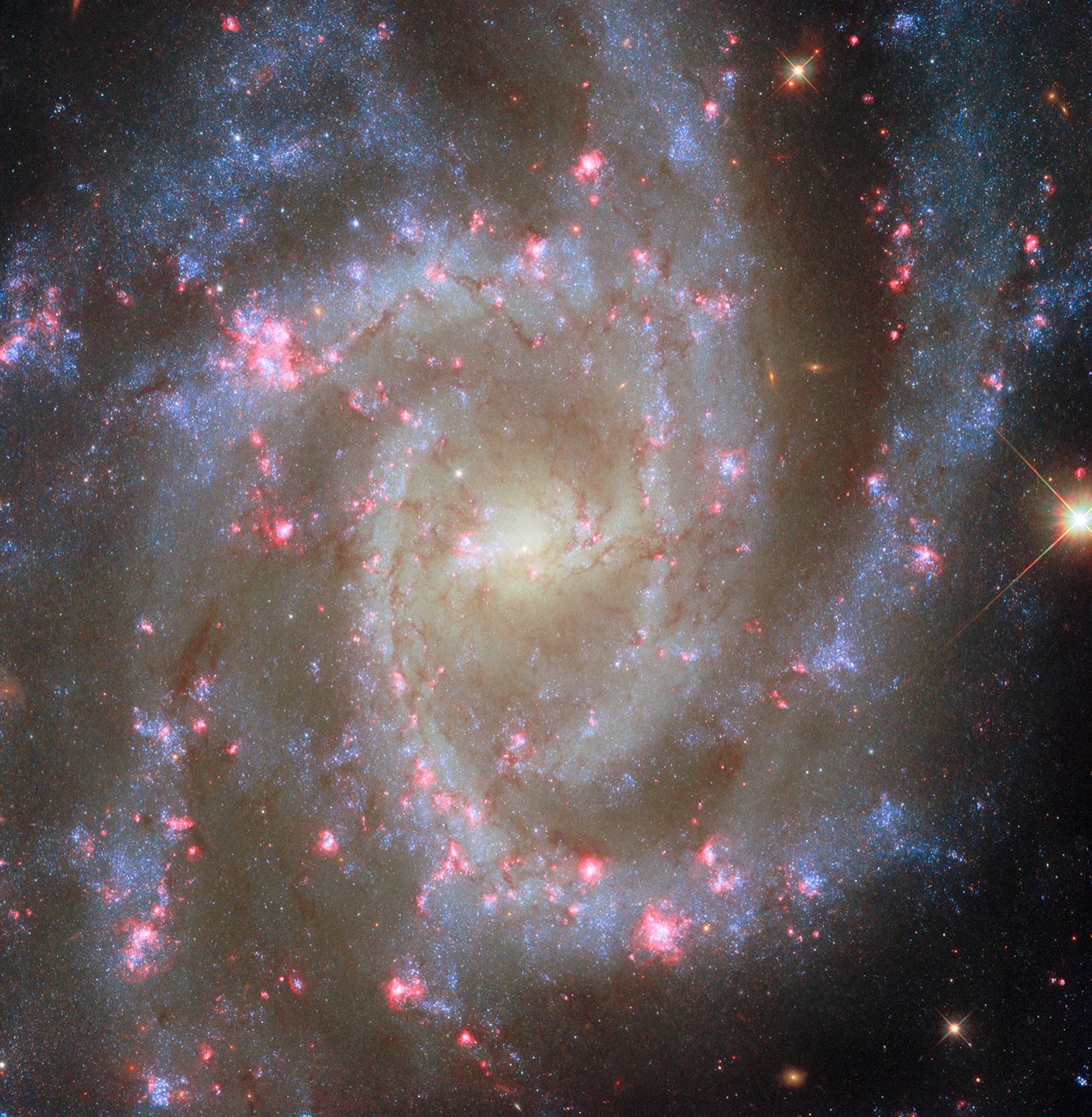 Facebook Hubble Hubble Observes Noteworthy Nearby Spiral Galaxy - NASA Science